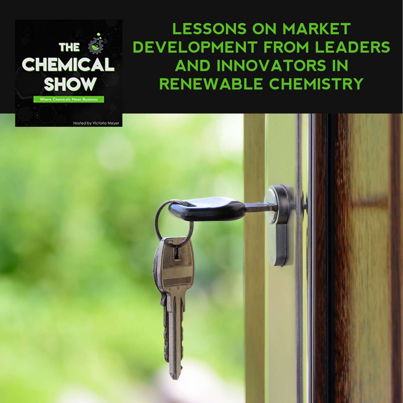 Lessons On Market Development From Leaders And Innovators In Renewable Chemistry - Ep 69