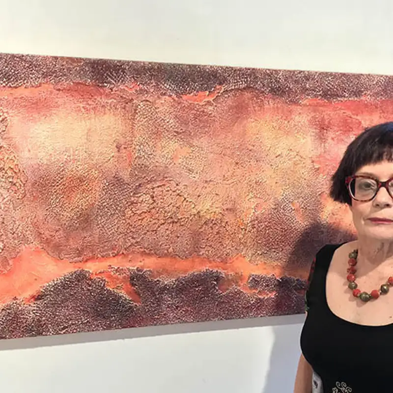 Salle de presse: Michelle Letarte à la galerie Propeller