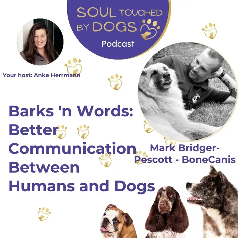 Mark Bridger-Pescott - BoneCanis - Barks 'n Words: Better Communication Between Humans and Dogs