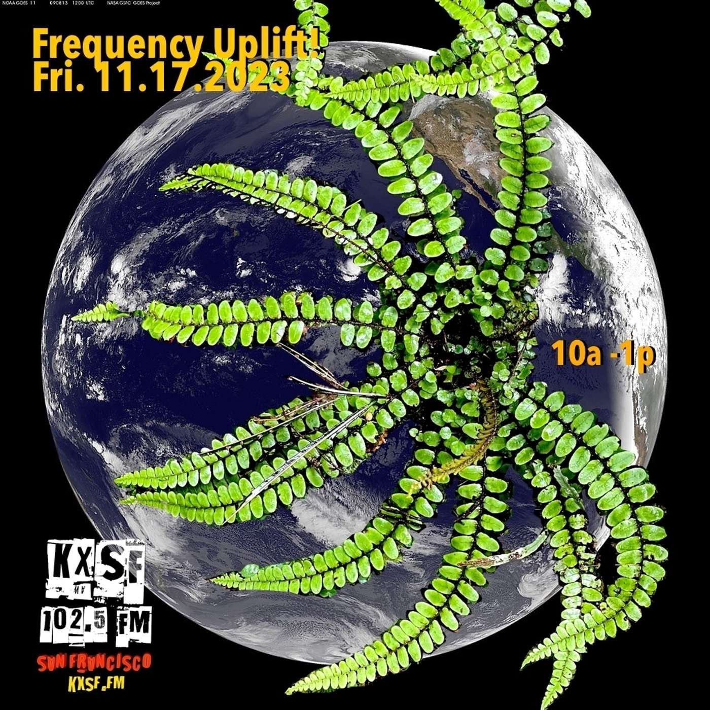 FREQUENCY UPLIFT ! Fri. 11.17.2023 ! we are a forest, singing to each other underground episode artwork
