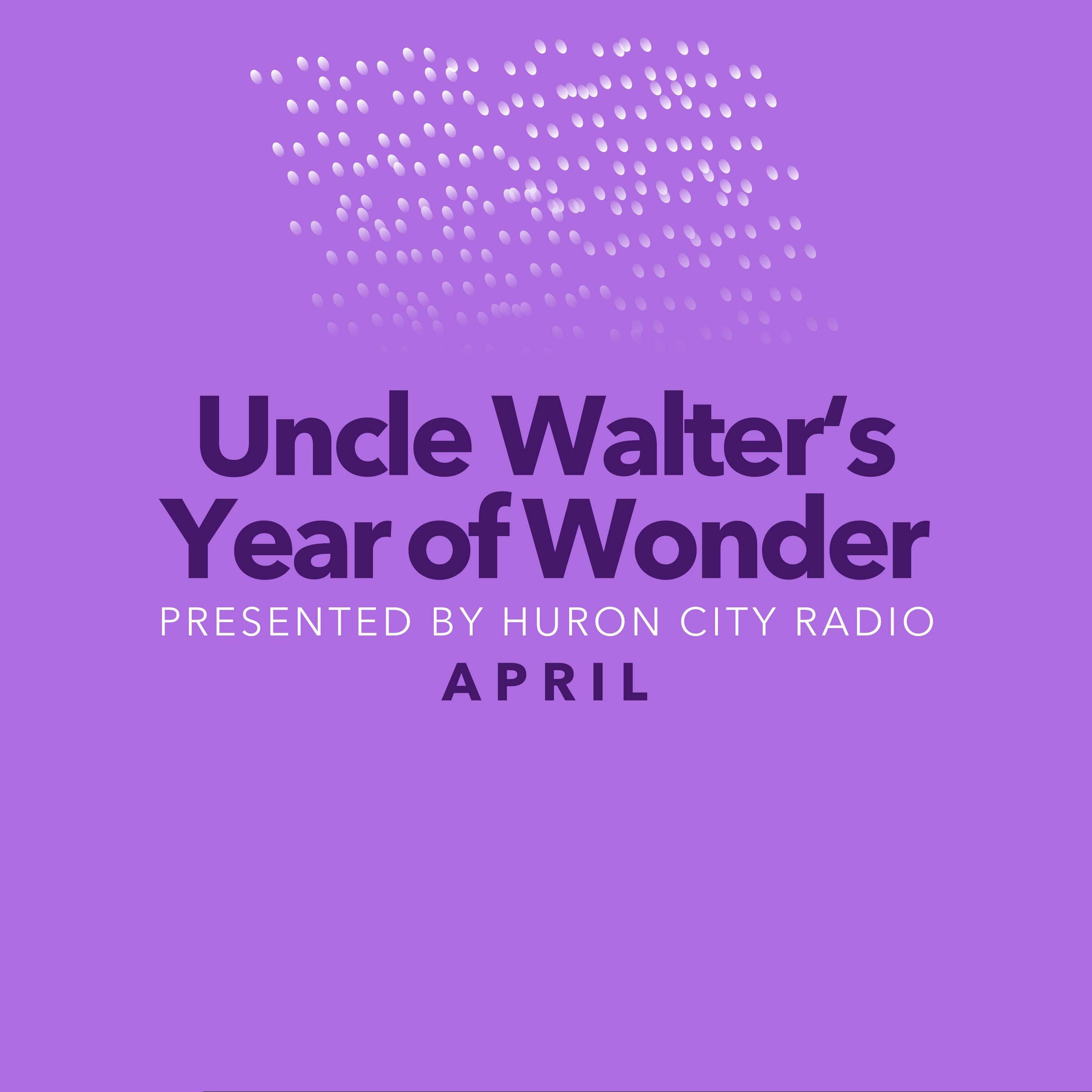 Huron City Radio.  Fake Station-Real Funny