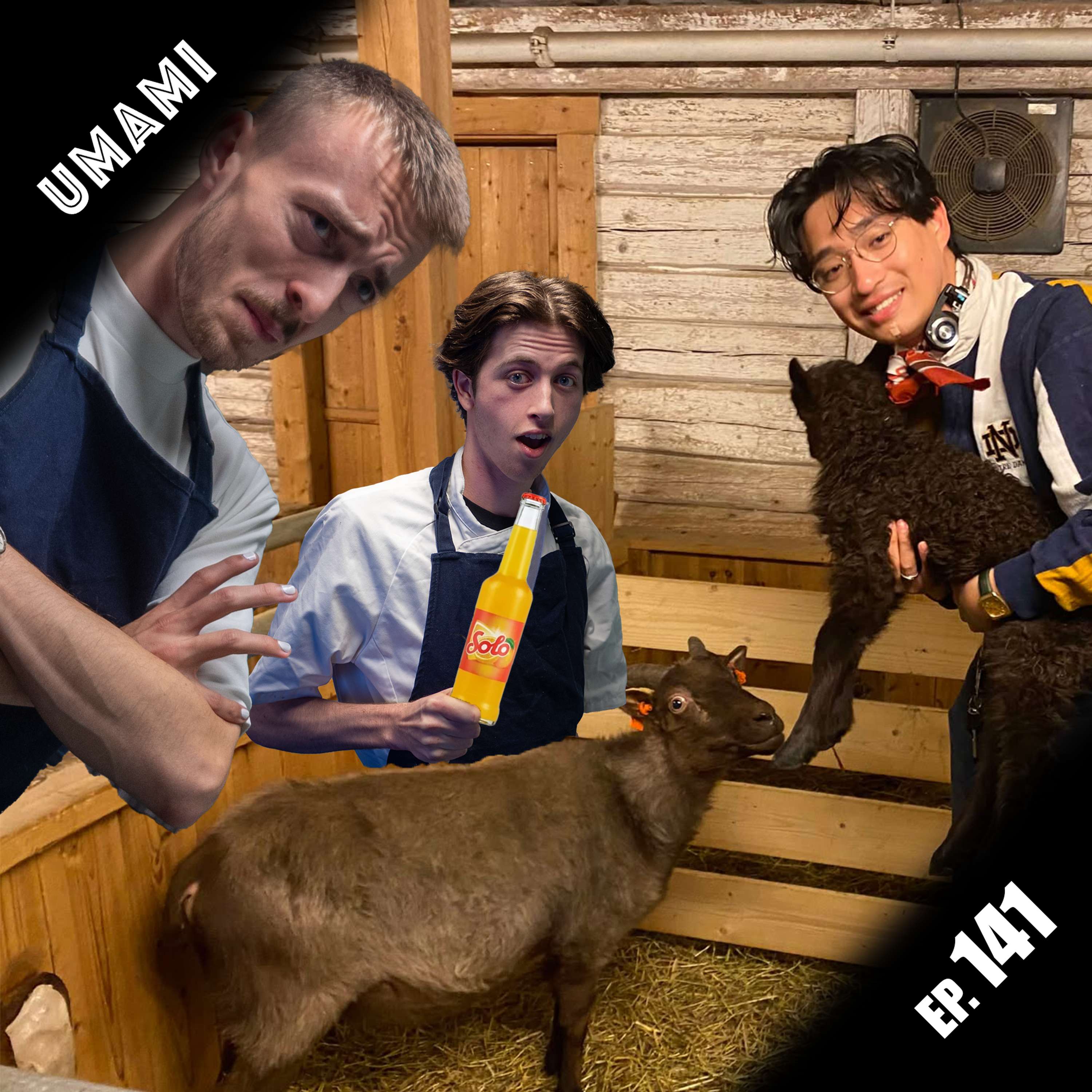 Umami - et matprogram på Radio Nova