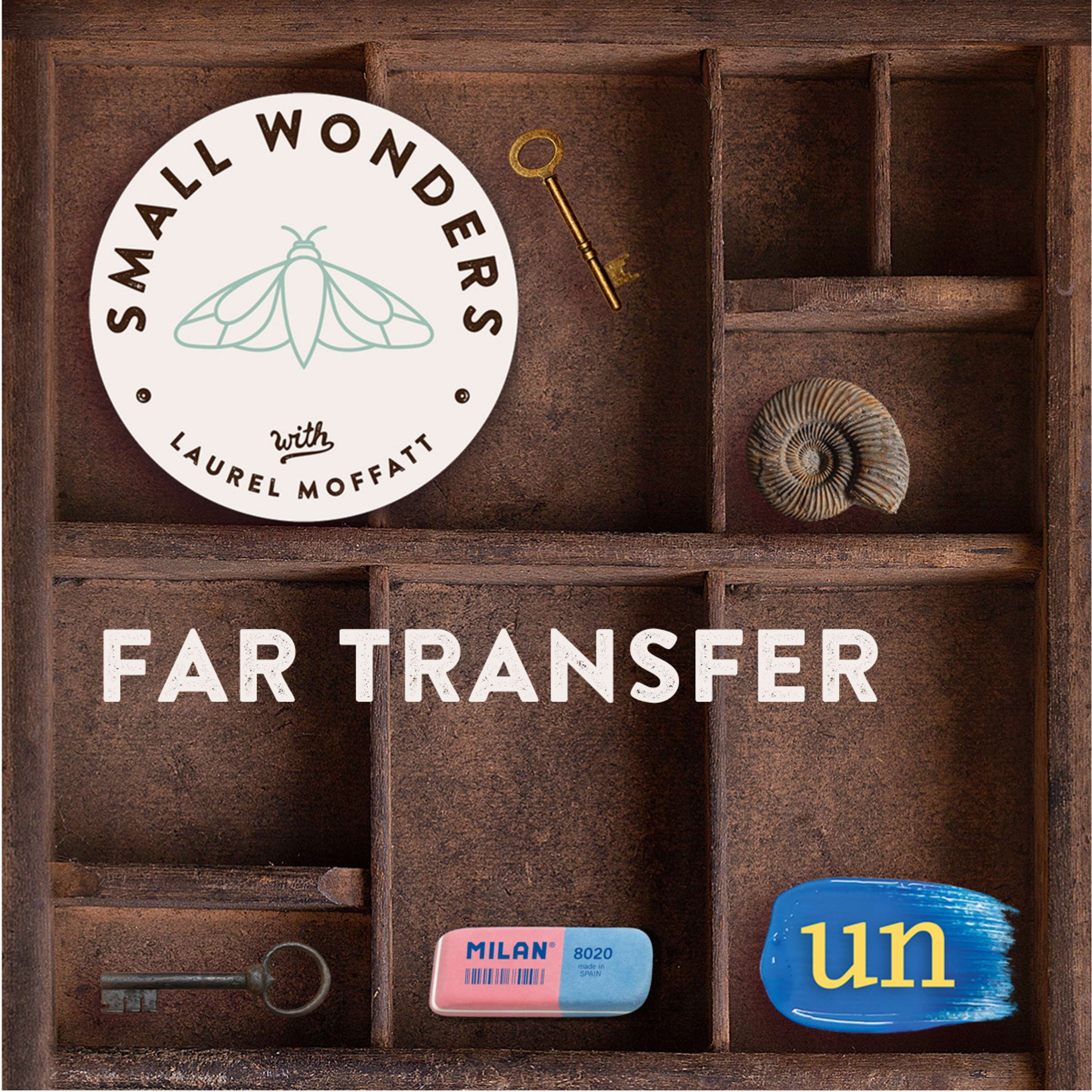 Small Wonders