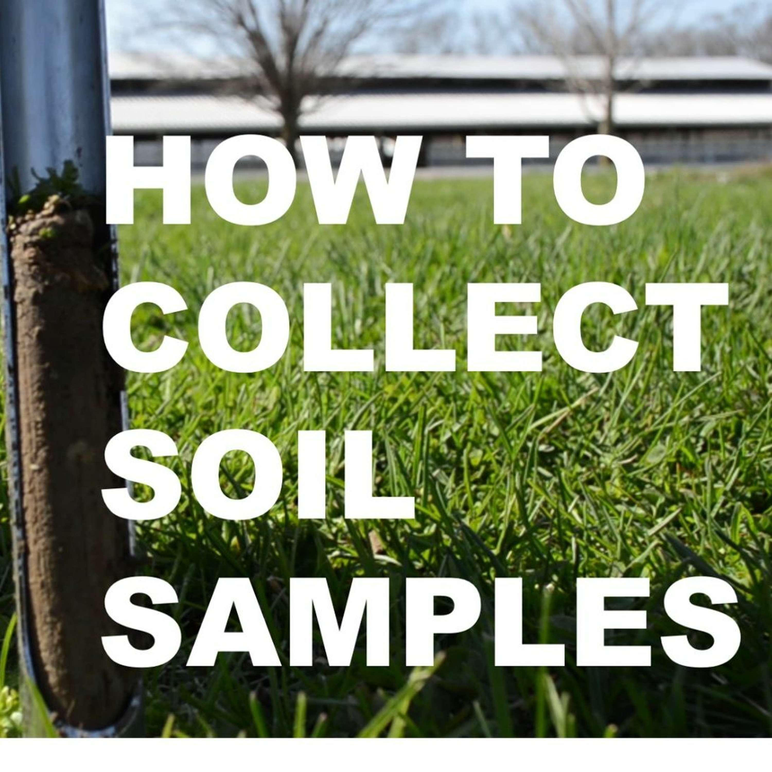 Interpreting Soil Test Results with Duane Friend