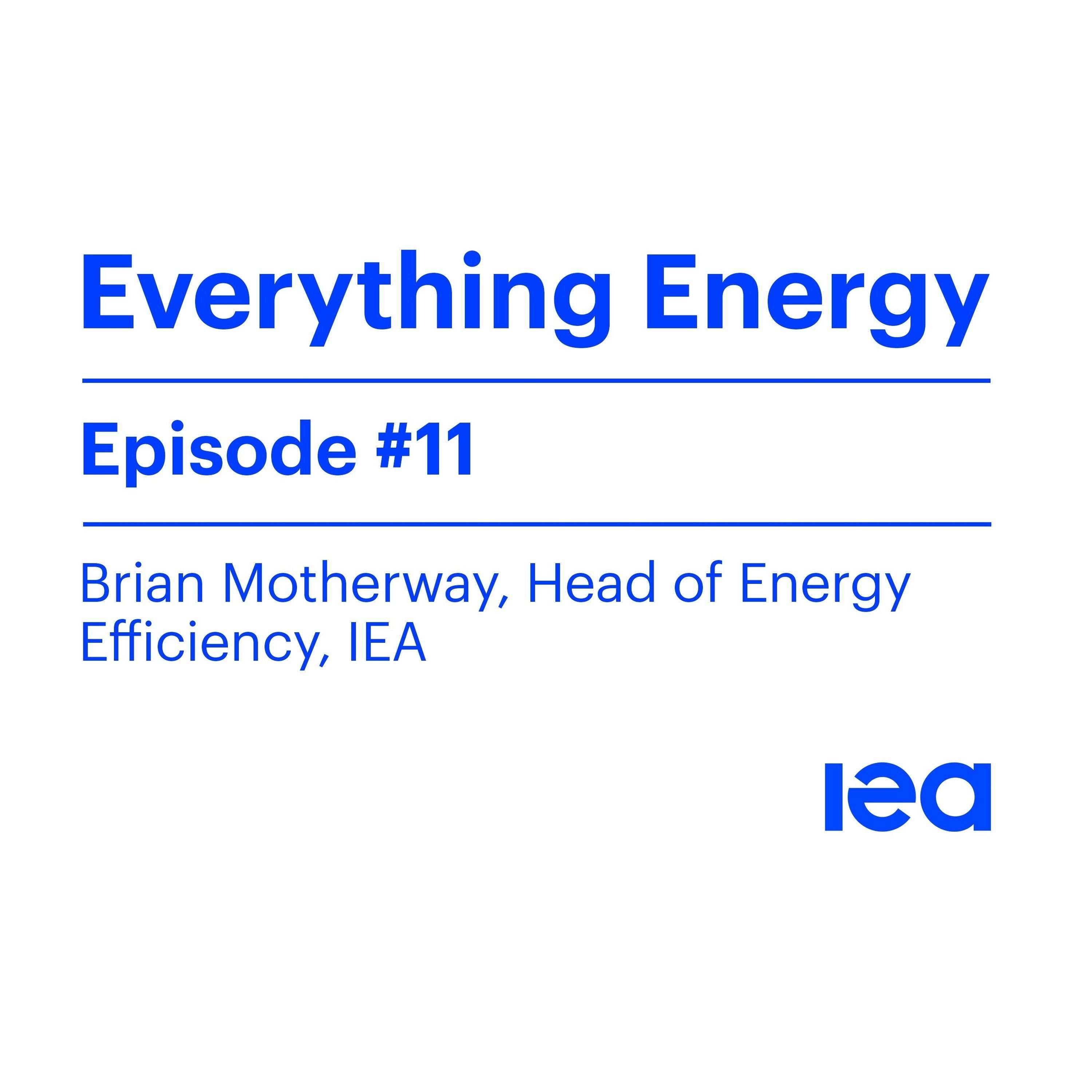Episode 11: Energy efficiency in 2020 and why we need action now to meet international climate goals