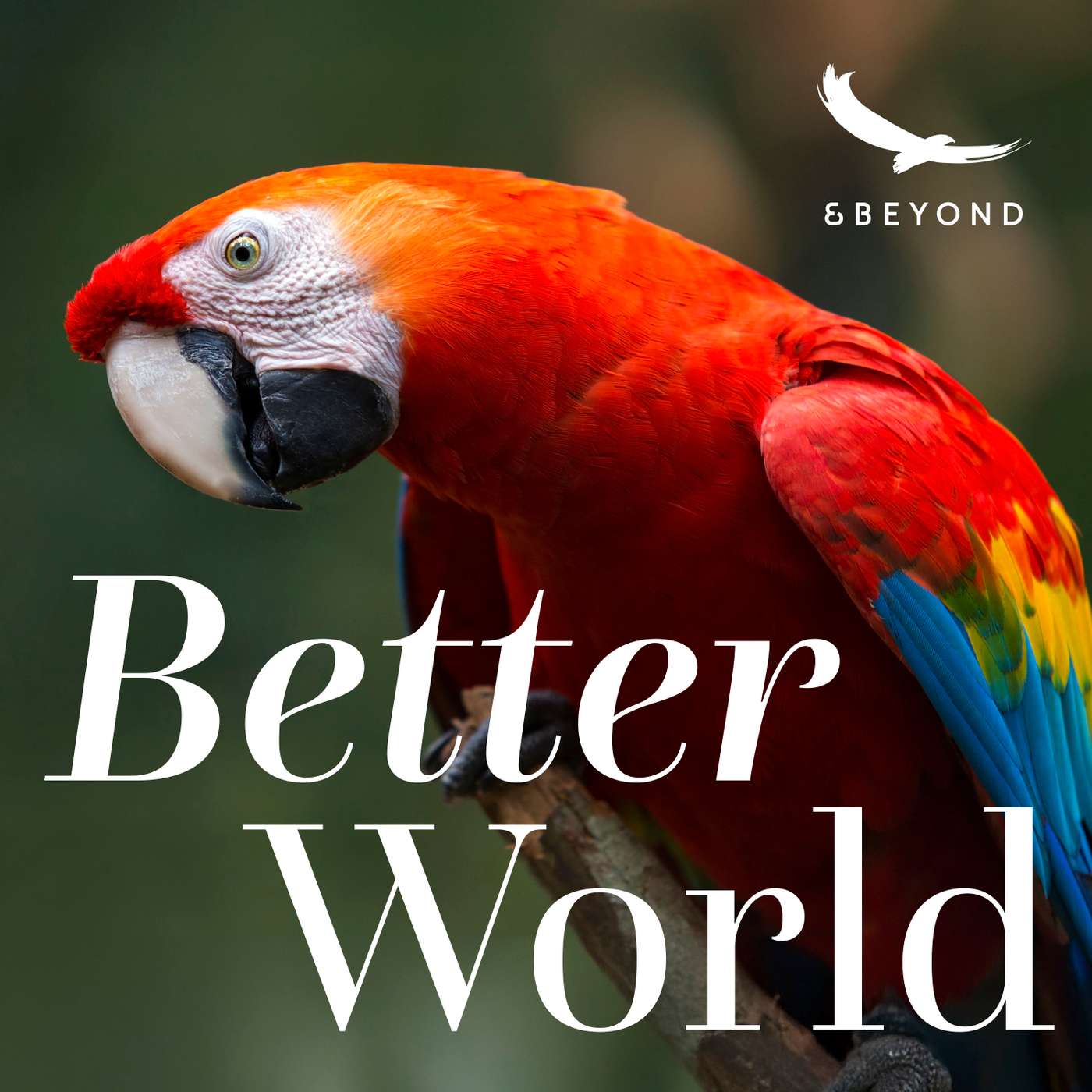 Setting sail into the Peruvian Amazon with Mark Wheeler and Cliver Rioja