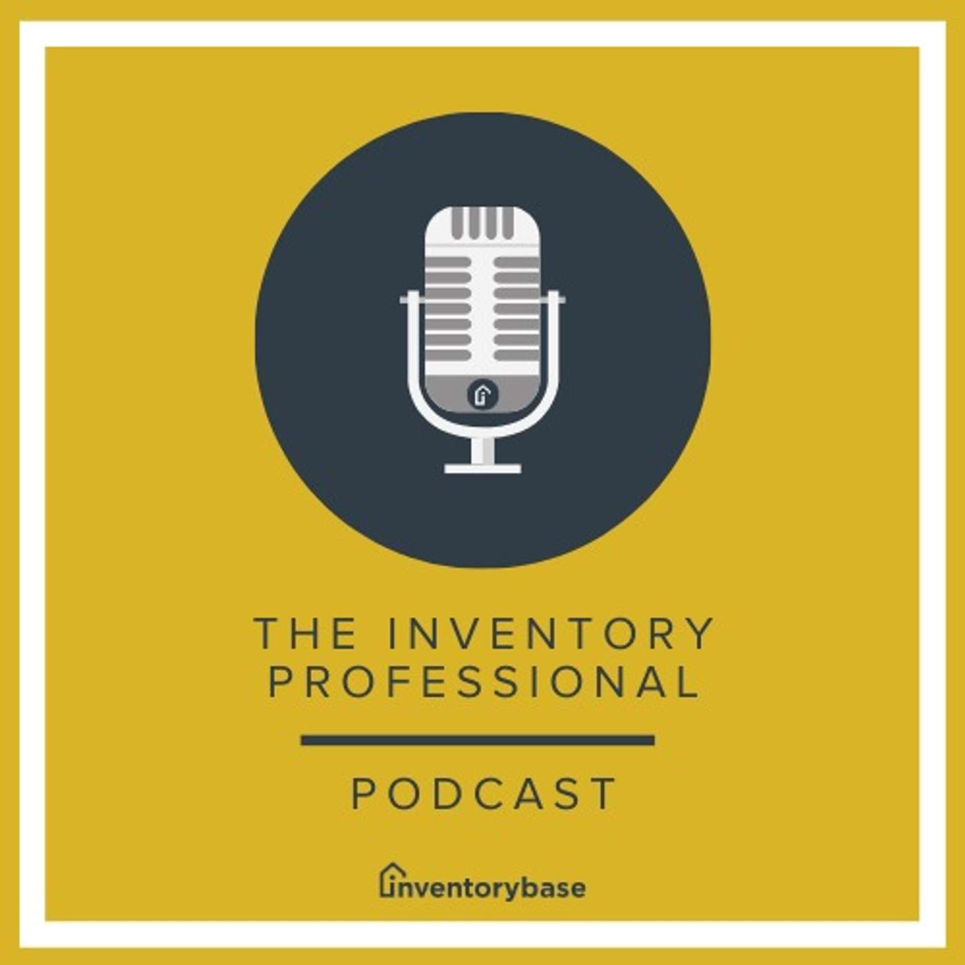 The Inventory Professional