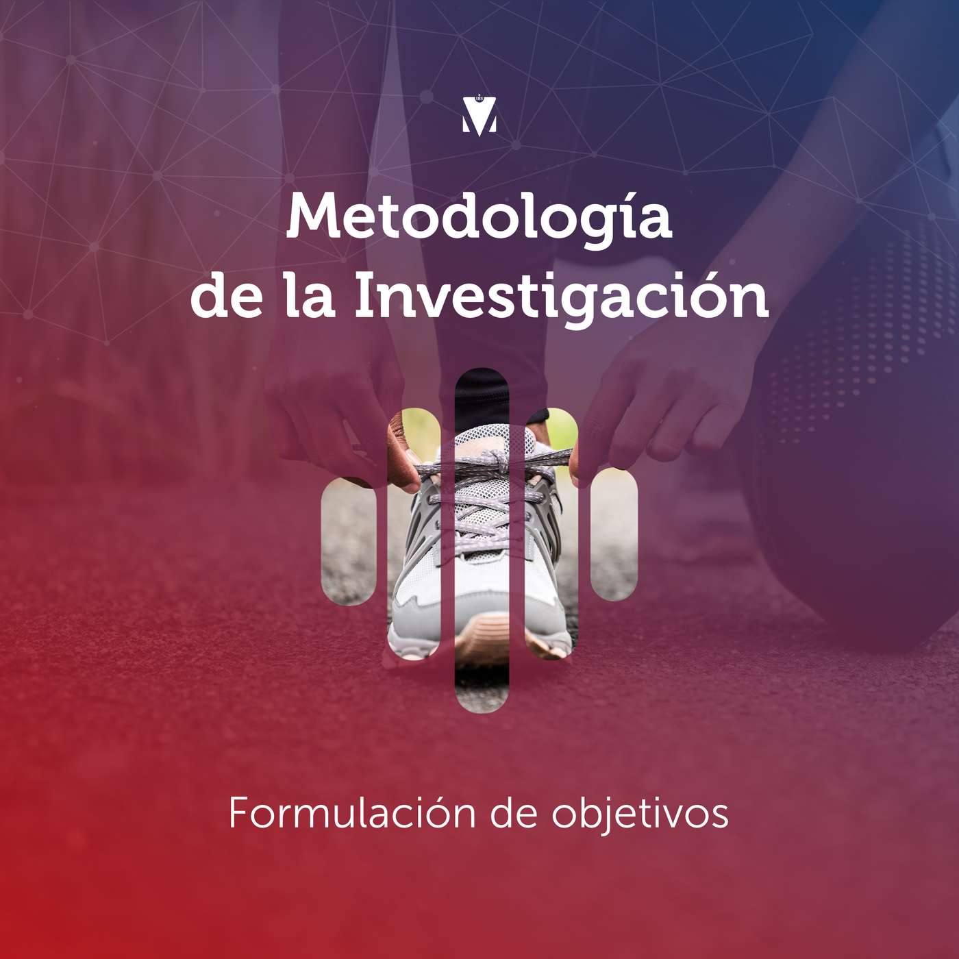 4 - METODOLOGÍA DE LA INVESTIGACIÓN: Formulación de objetivos