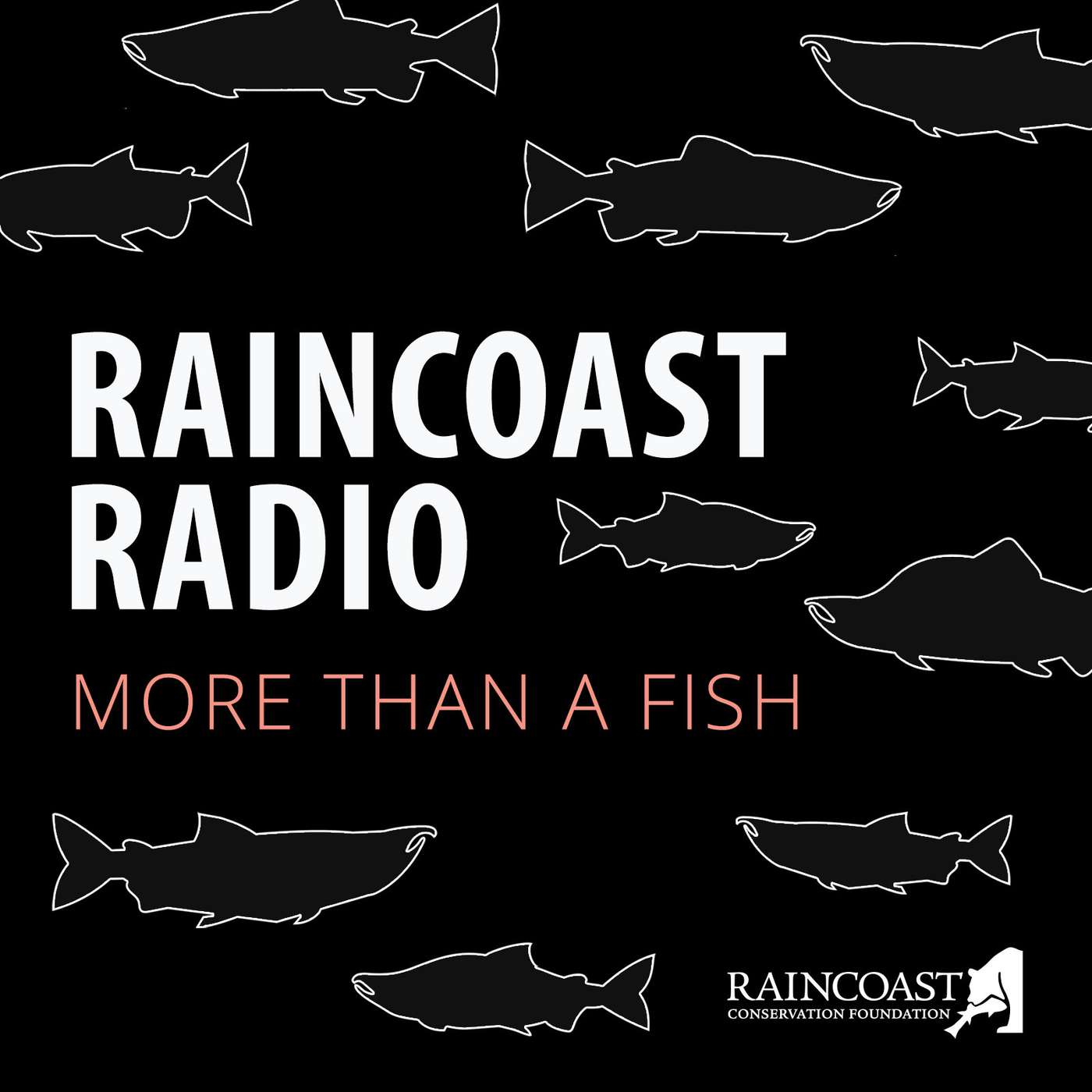 Bridging the gap between salmon scientists and anglers with Fishing with Rod