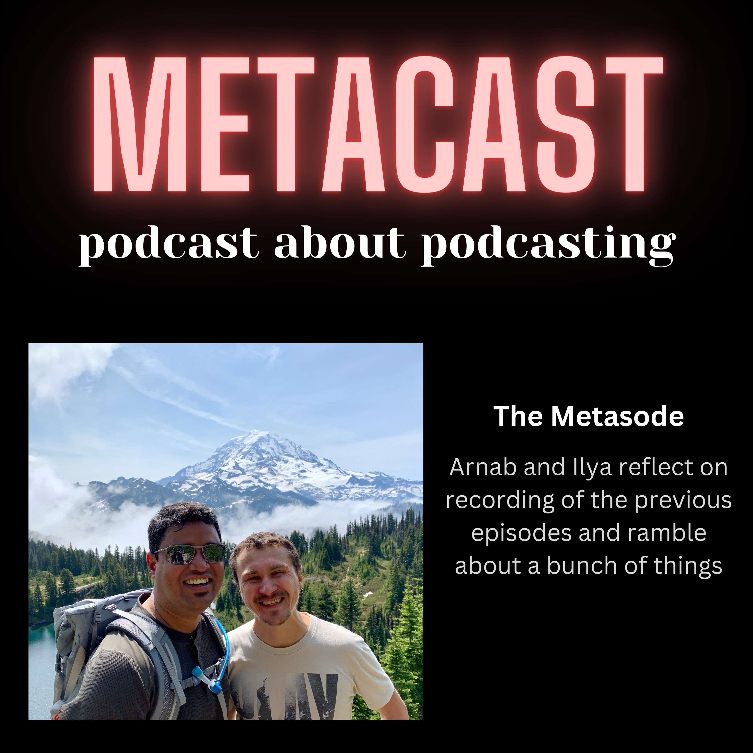 3. The Metasode - podcast episode cover