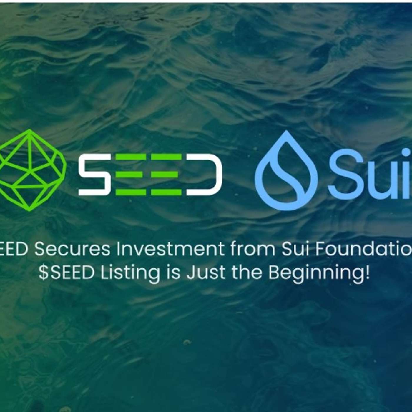 SEED secures Investment From Sui Foundation to Build a 100M-User Web3 Gaming Ecosystem On Sui