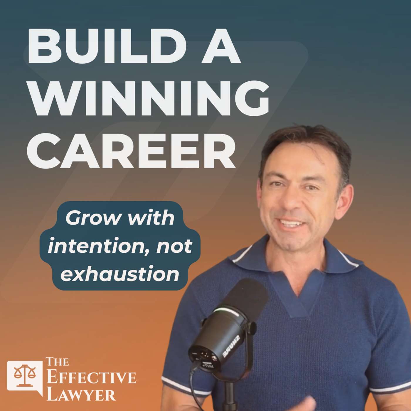 The Effective Lawyer