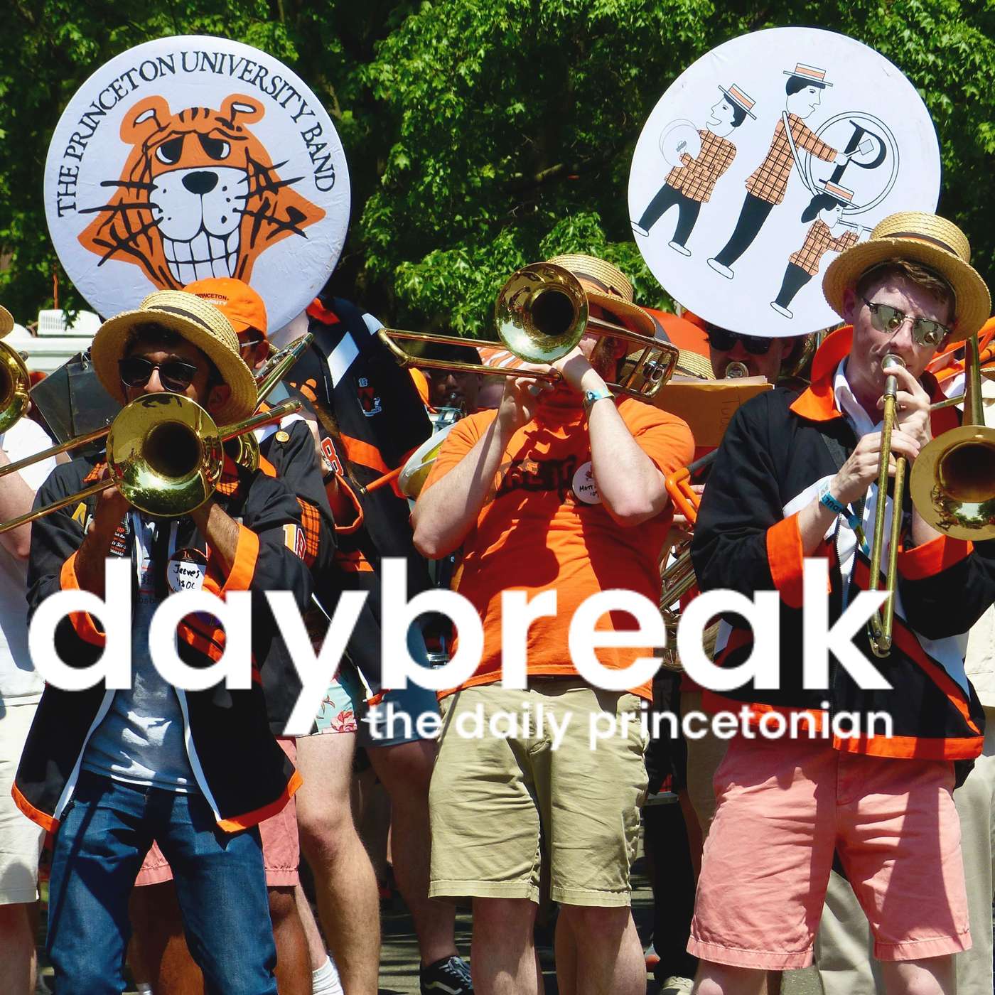 Tigers Back in Town: Reunions Special Recap