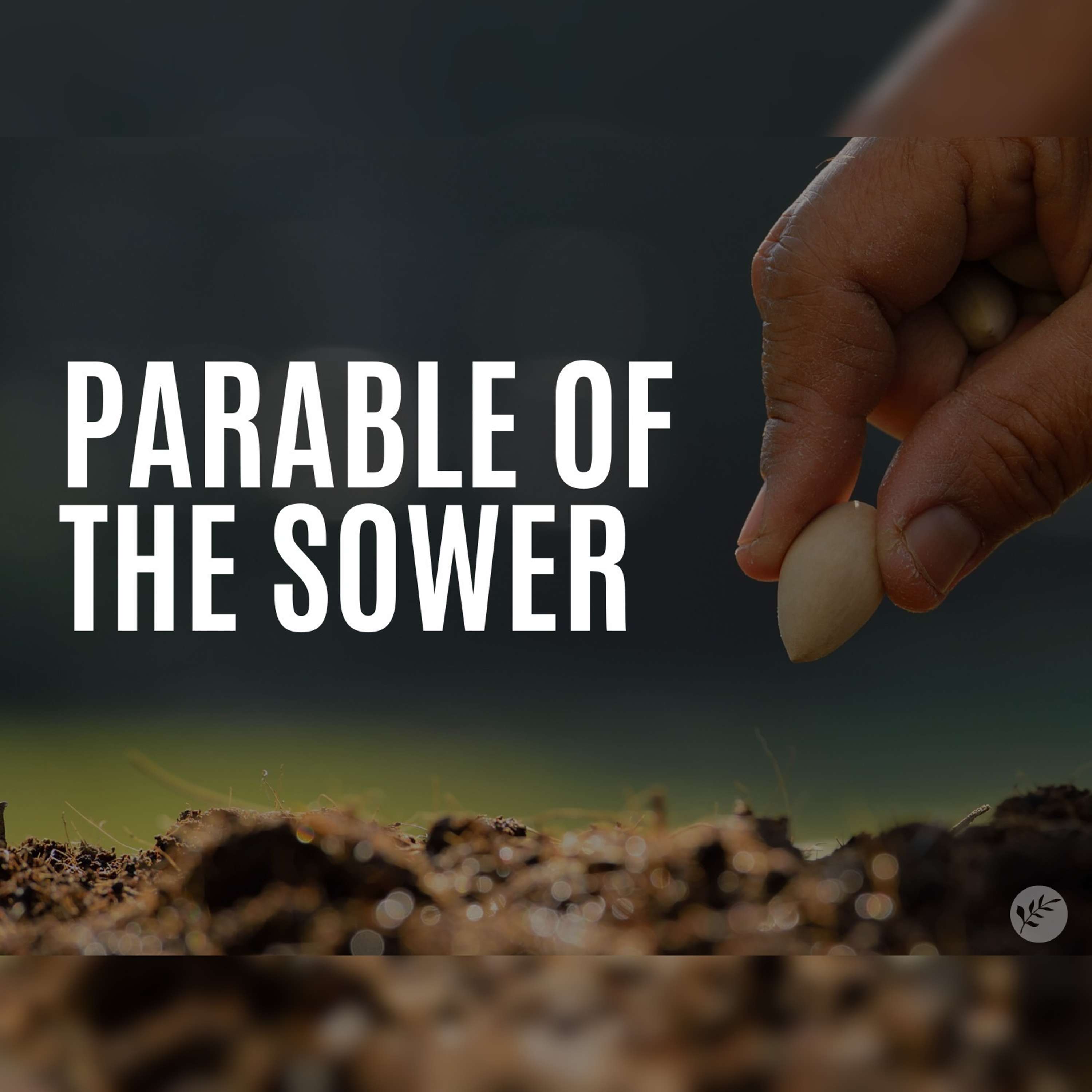 The Parable of the Sower | Matthew 13:1-9