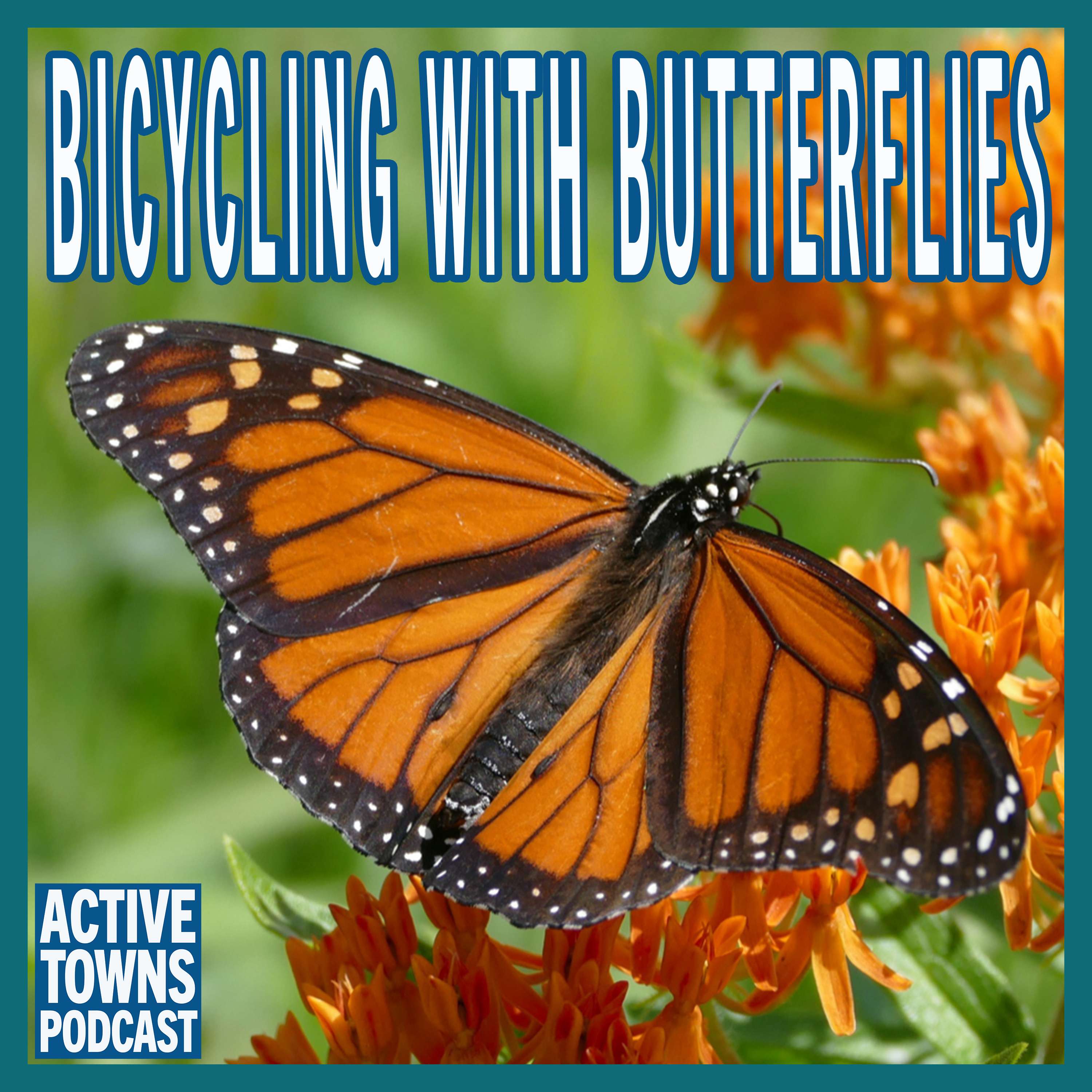 Bicycling with Butterflies w/ Sara Dykman