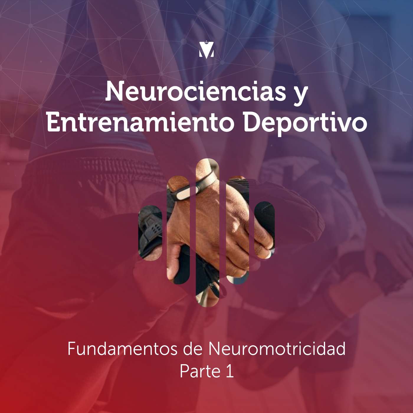 3 - NEUROCIENCIAS Y ENTRENAMIENTO DEPORTIVO: Fundamentos de Neuromotricidad - Parte 1
