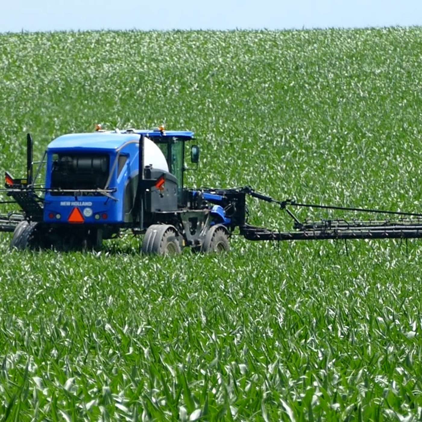 Nitrogen loss: Lessons learned from the 2024 growing season