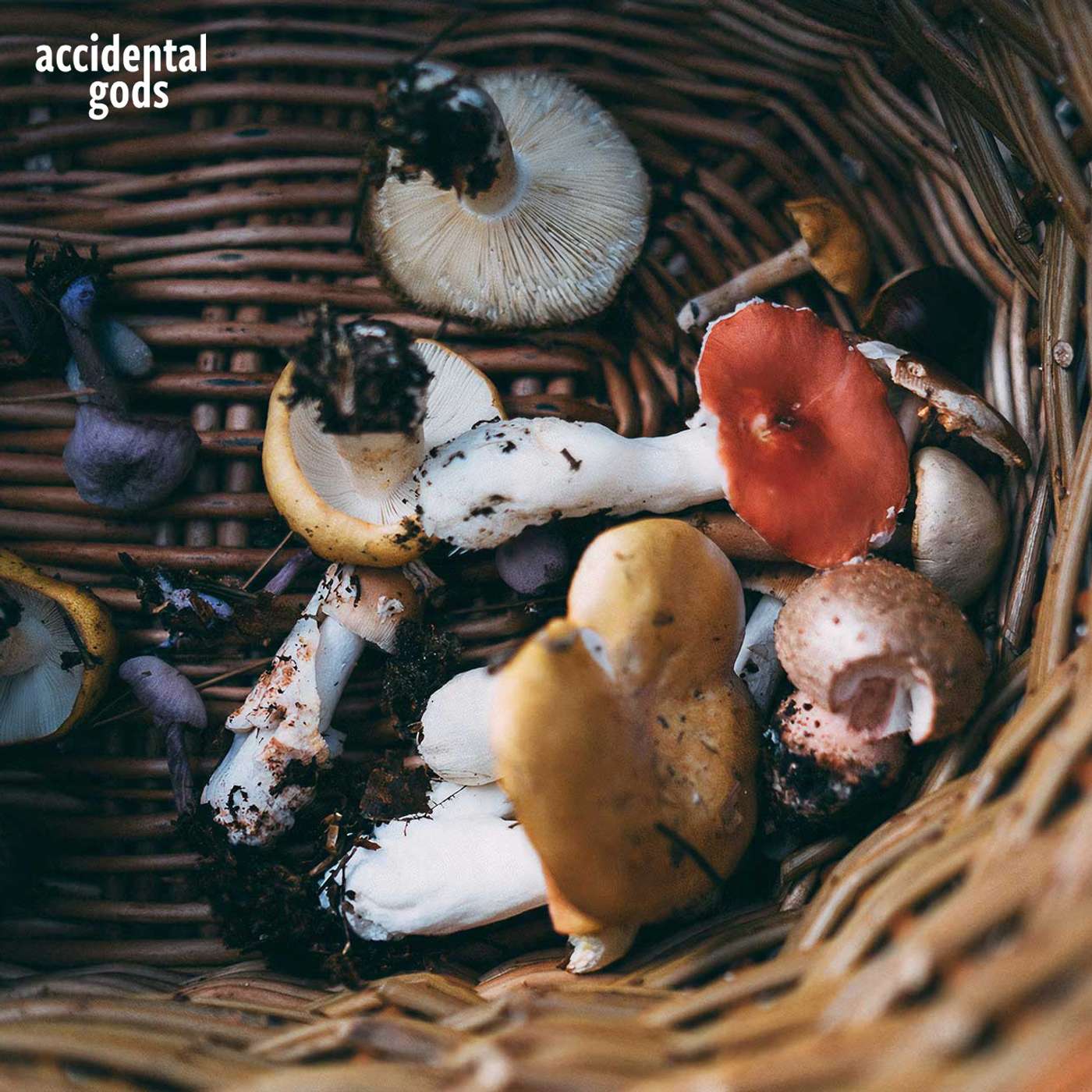 Accidental Gods