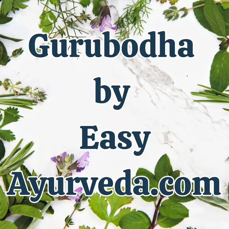 Gurubodha 138: How quickly does any Ayurvedic Herb works? Reaching of herb to Target area