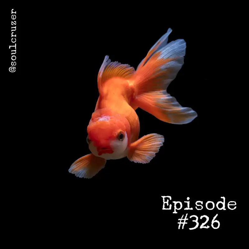 Episode #326: Wisdom for a thirsty fish
