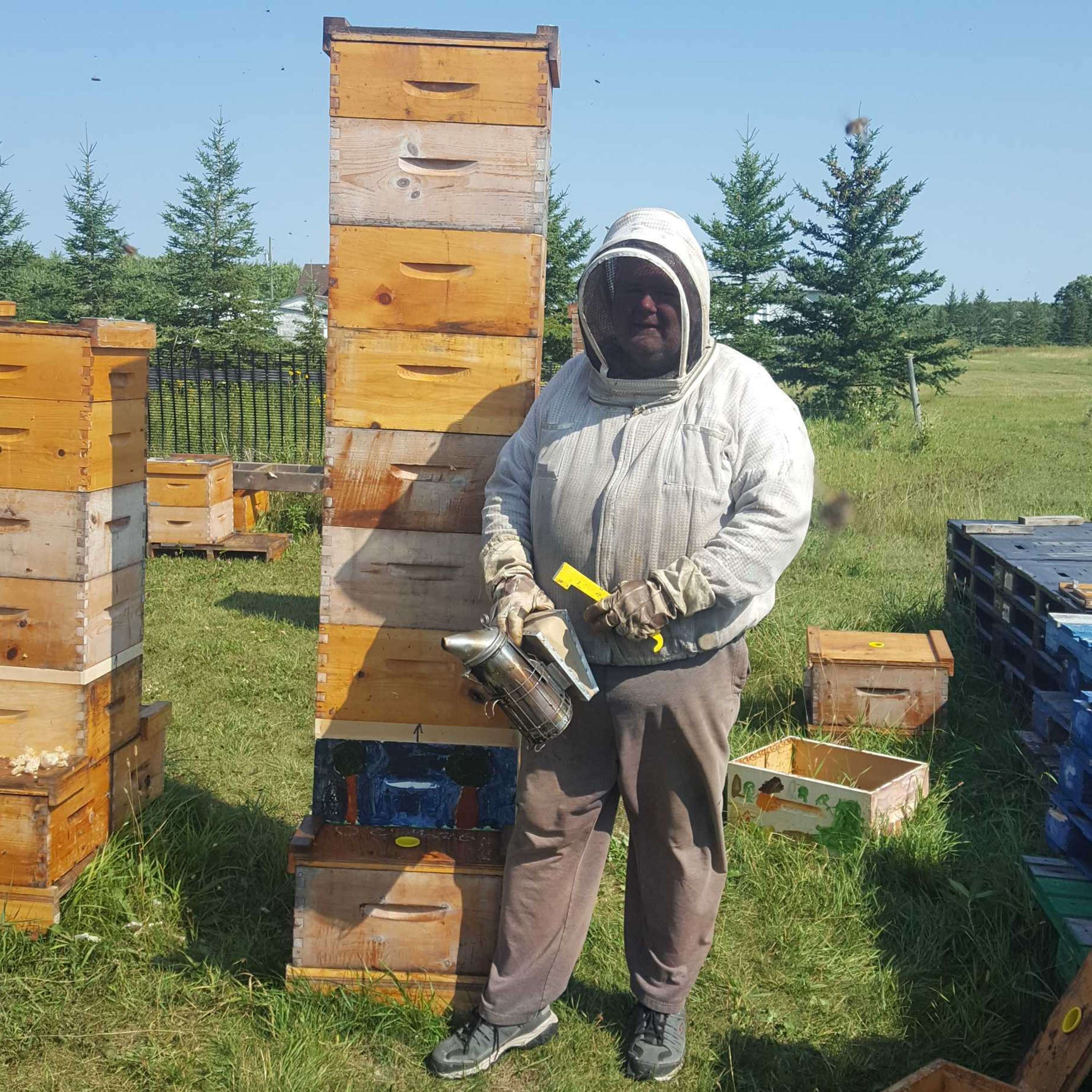 Breeding the Honeybee