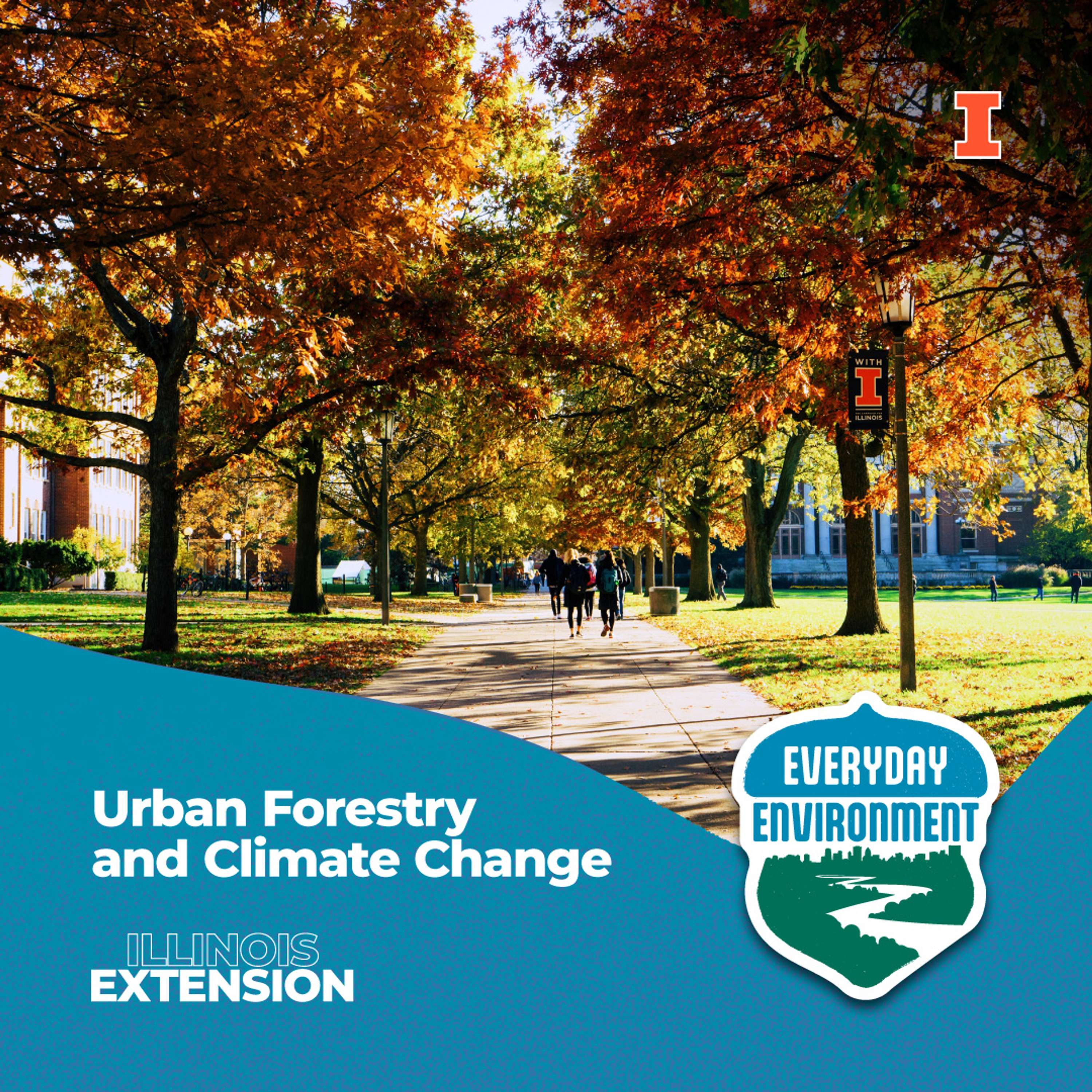 Everyday Environment Podcast