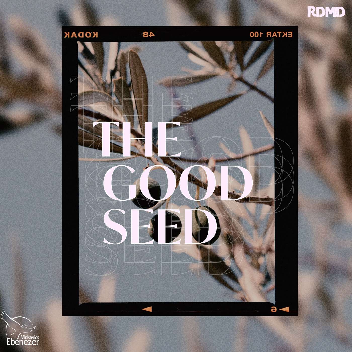 The Good Seed episode artwork