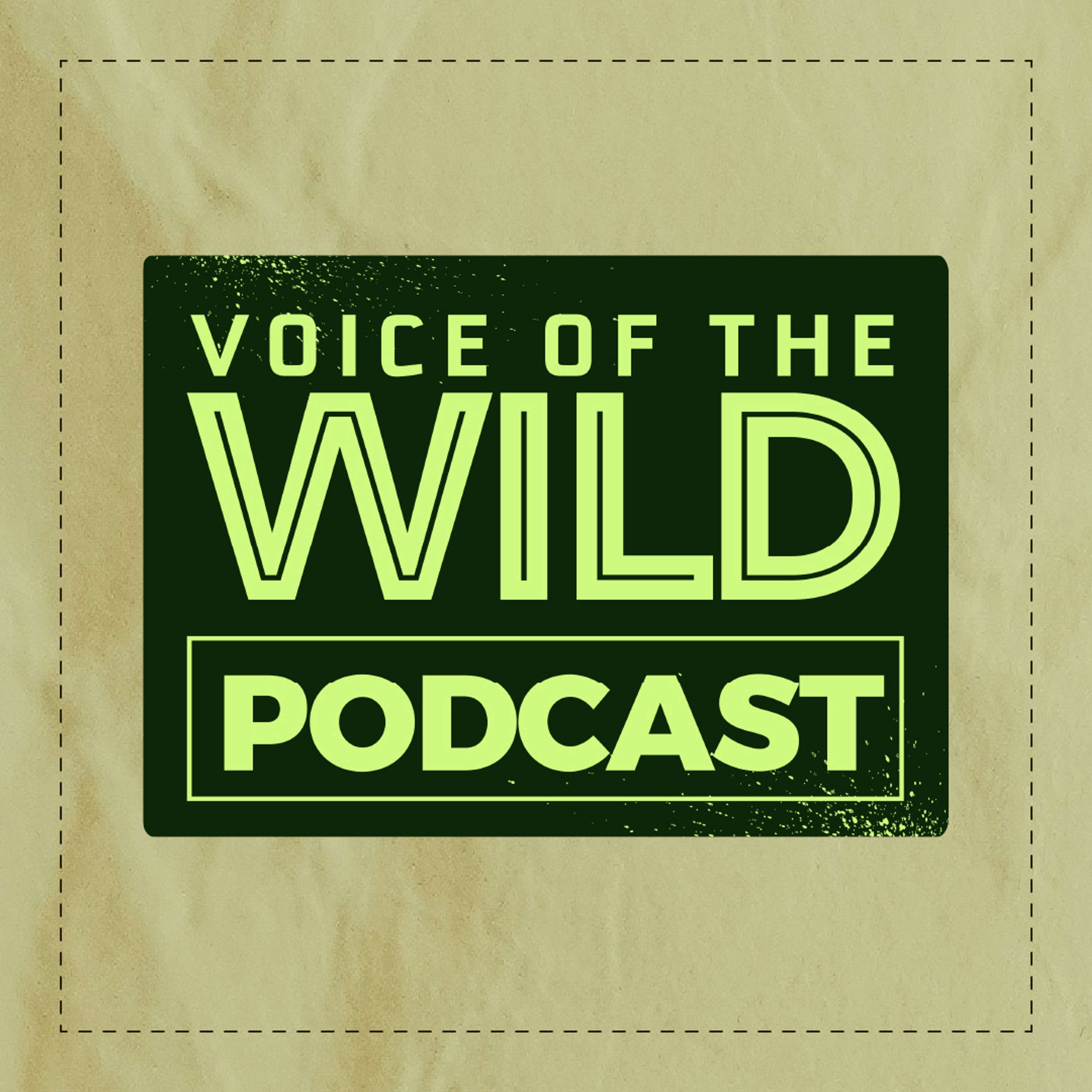 Voice of the Wild