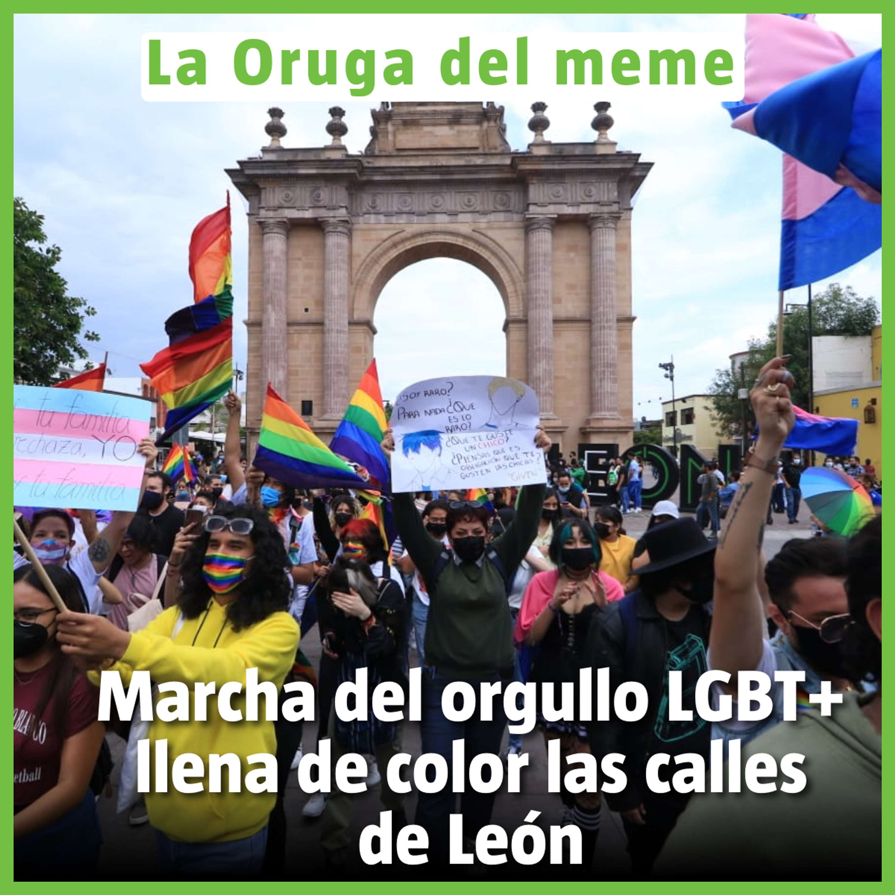 La Oruga del Meme