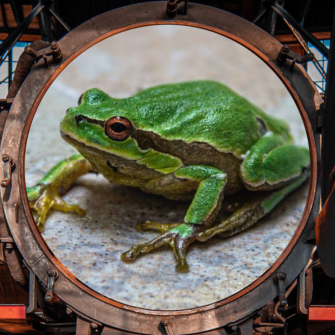 Who Says Words Can't Hurt?