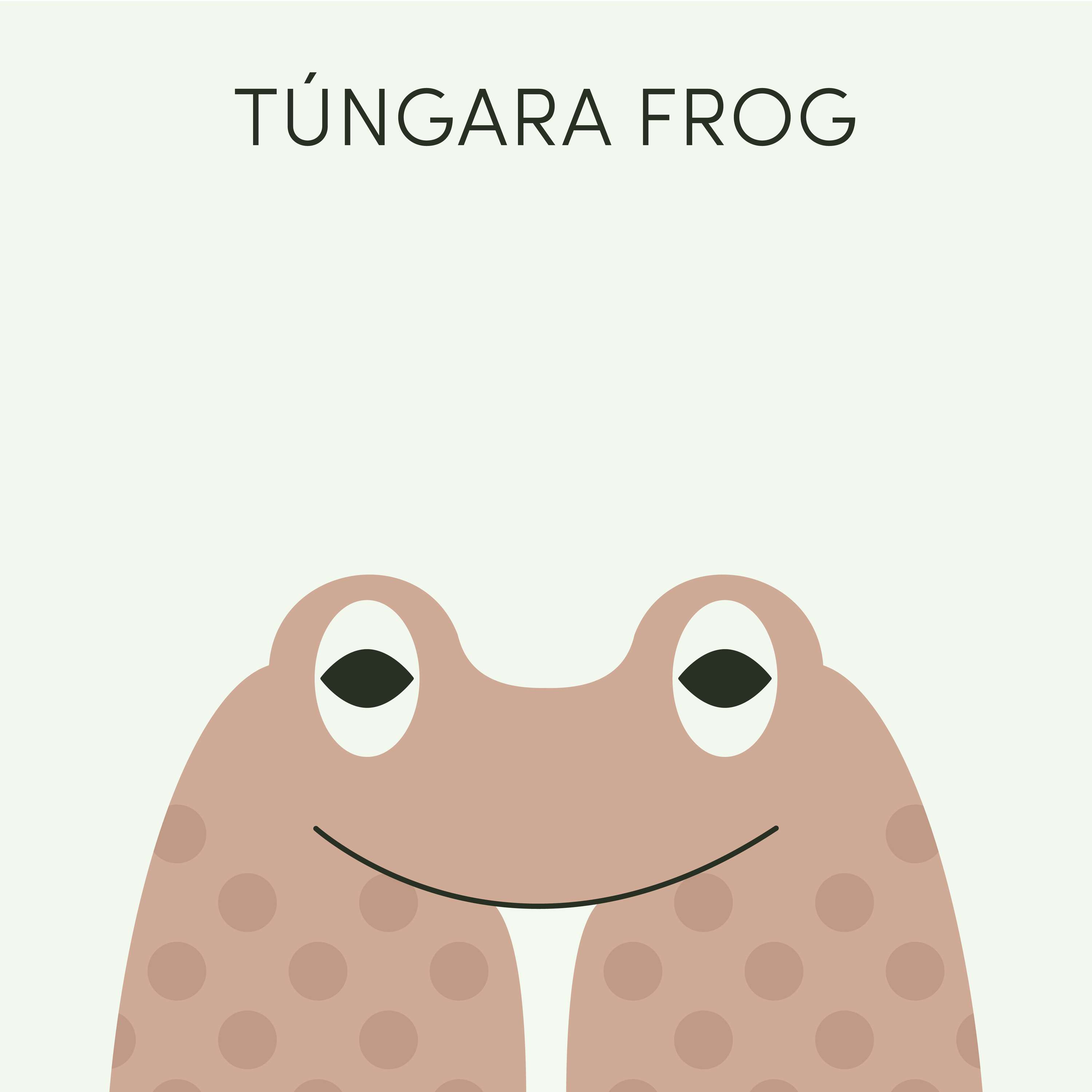 Túngara Frog | Week of November 28th