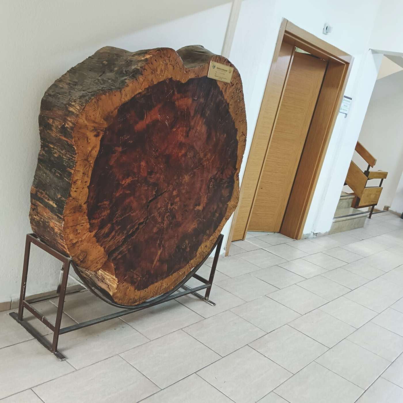 Sizin gününüz nasıl geçti?