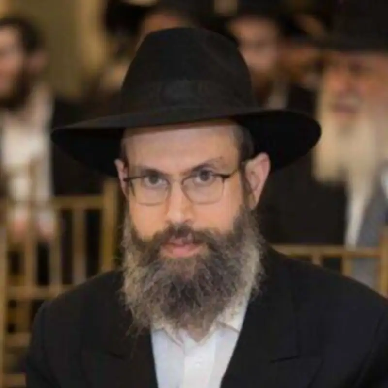 Dvar Malchus: Rabbi Shmuel Bluming, In-Depth Shiur - Sicha 4