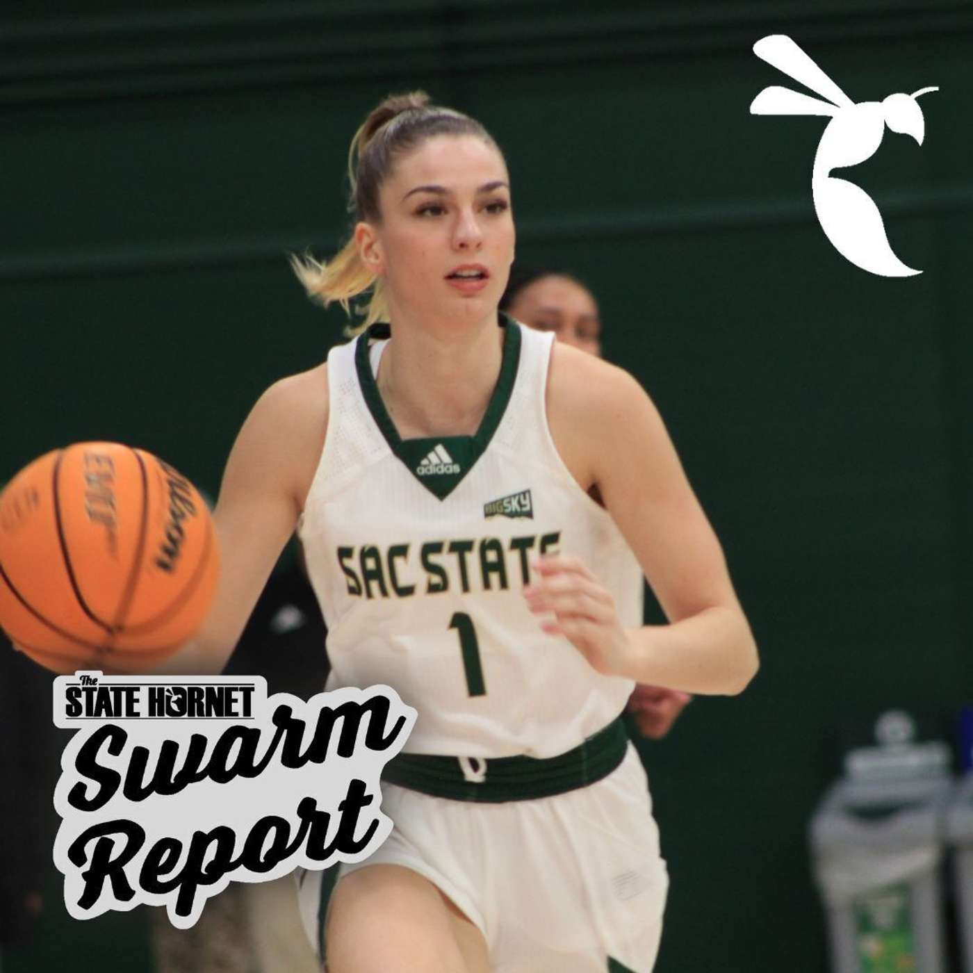 Swarm Report Week 1: Softball gets started and introducing new voices