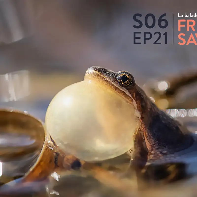 S06-EP21- Kébécitude et perte d'énergie, même combat ?