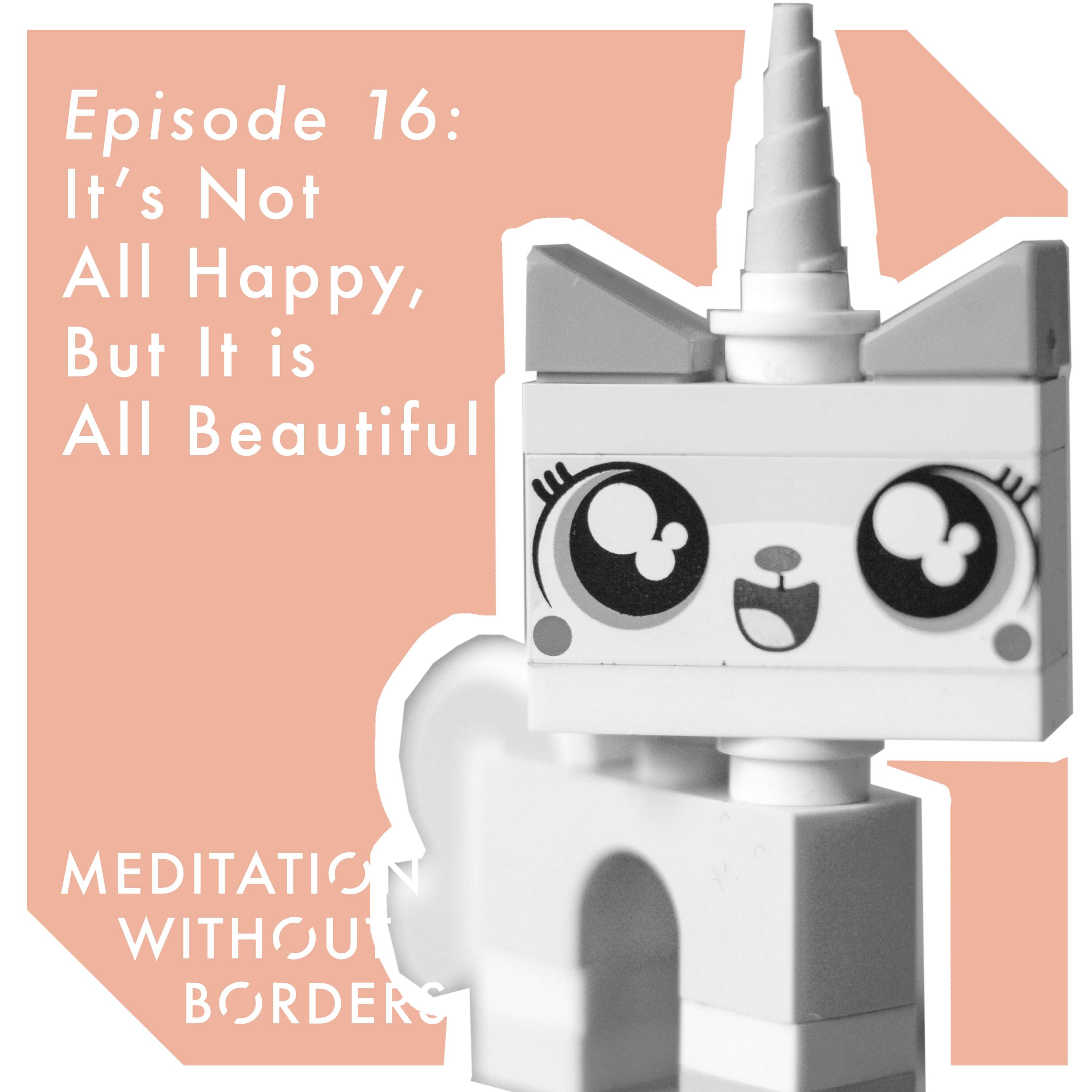 Meditation Without Borders – Being the Change Podcast