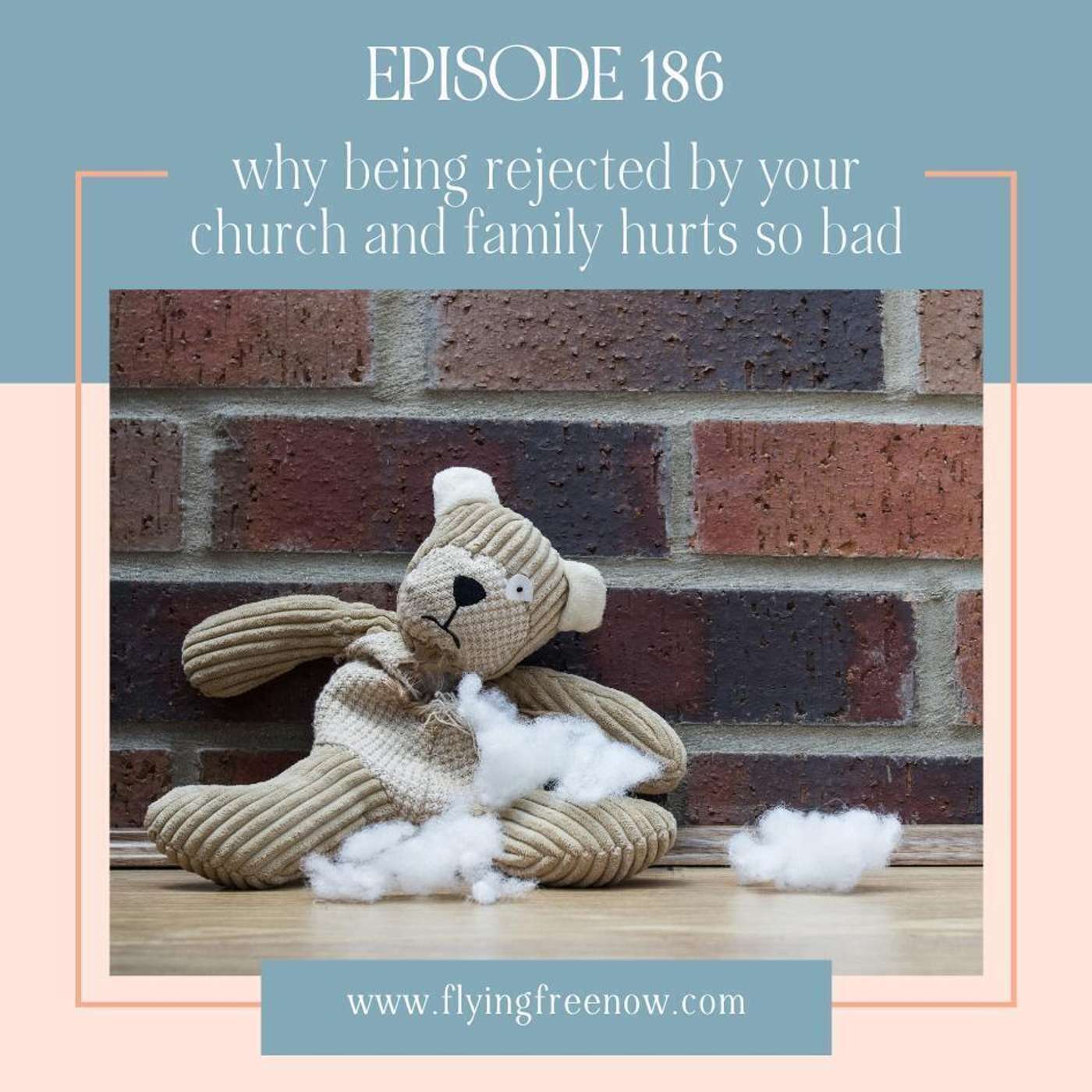 Why Being Rejected by Your Church and Family Hurts So Bad [186]