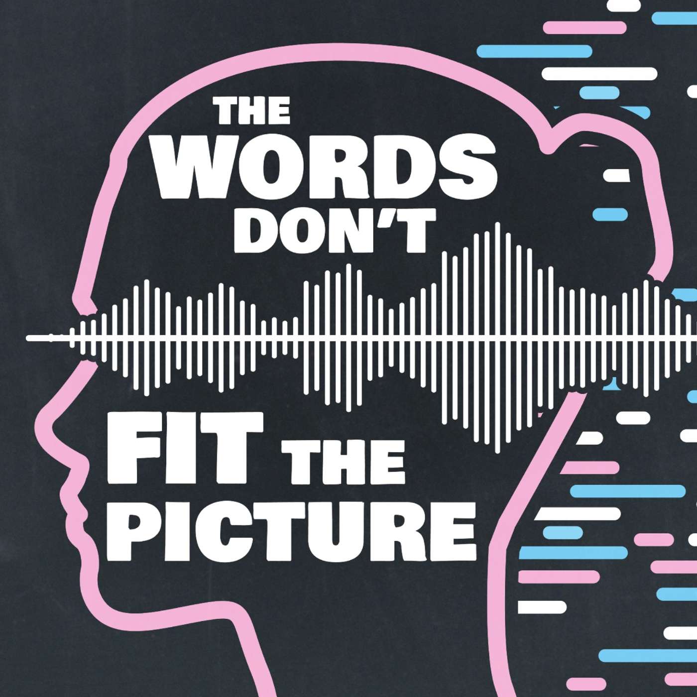 The Words Don't Fit the Picture: Gender vs. Voice
