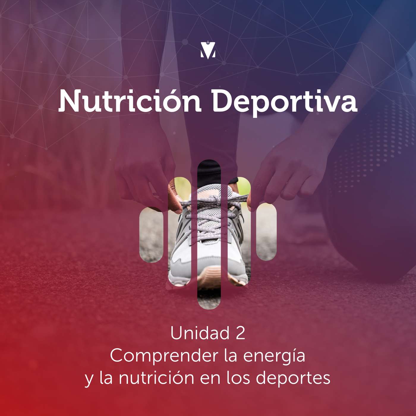 2 - NUTRICIÓN DEPORTIVA: Unidad 2 - Comprender la energía y la nutrición en los deportes