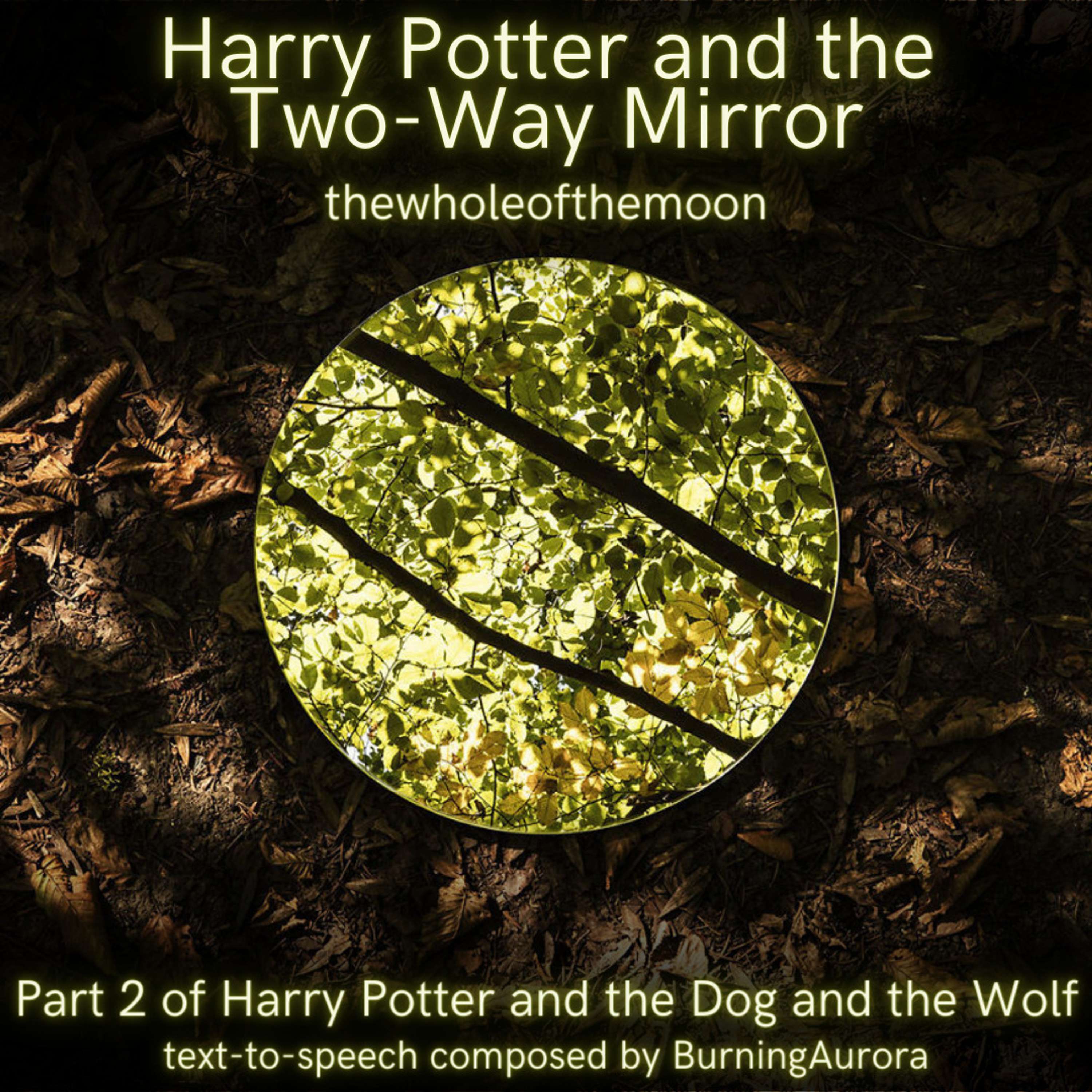 Harry Potter and the Two-Way Mirror by thewholeofthemoon | Harry Potter and the Dog and the Wolf: Part 2