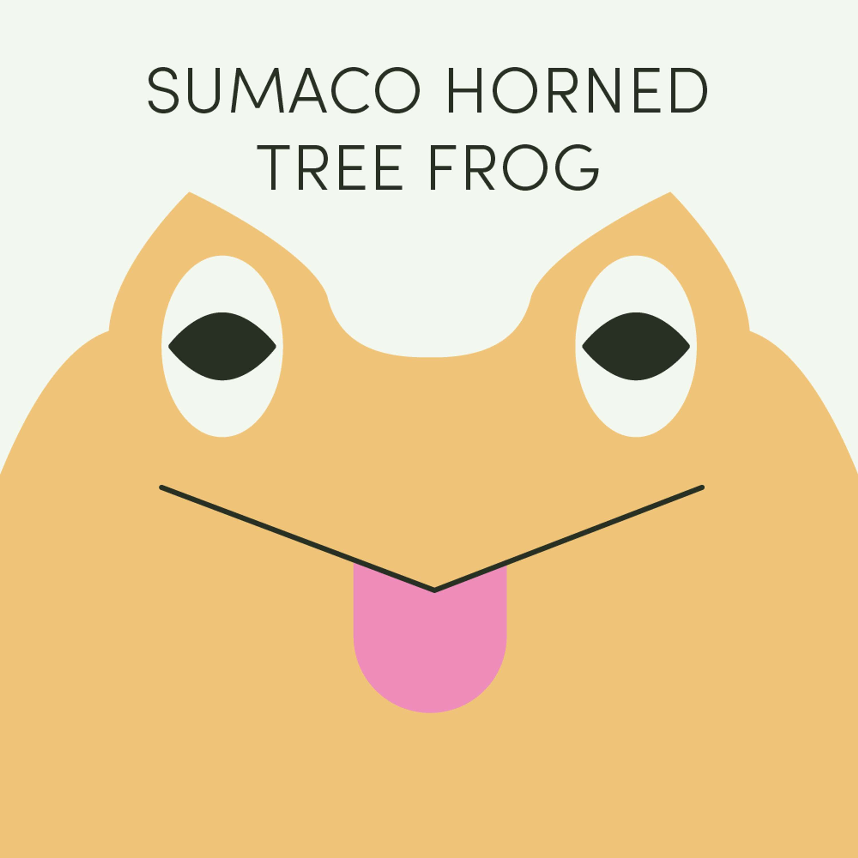 Sumaco Horned Tree Frog | Week of August 19th