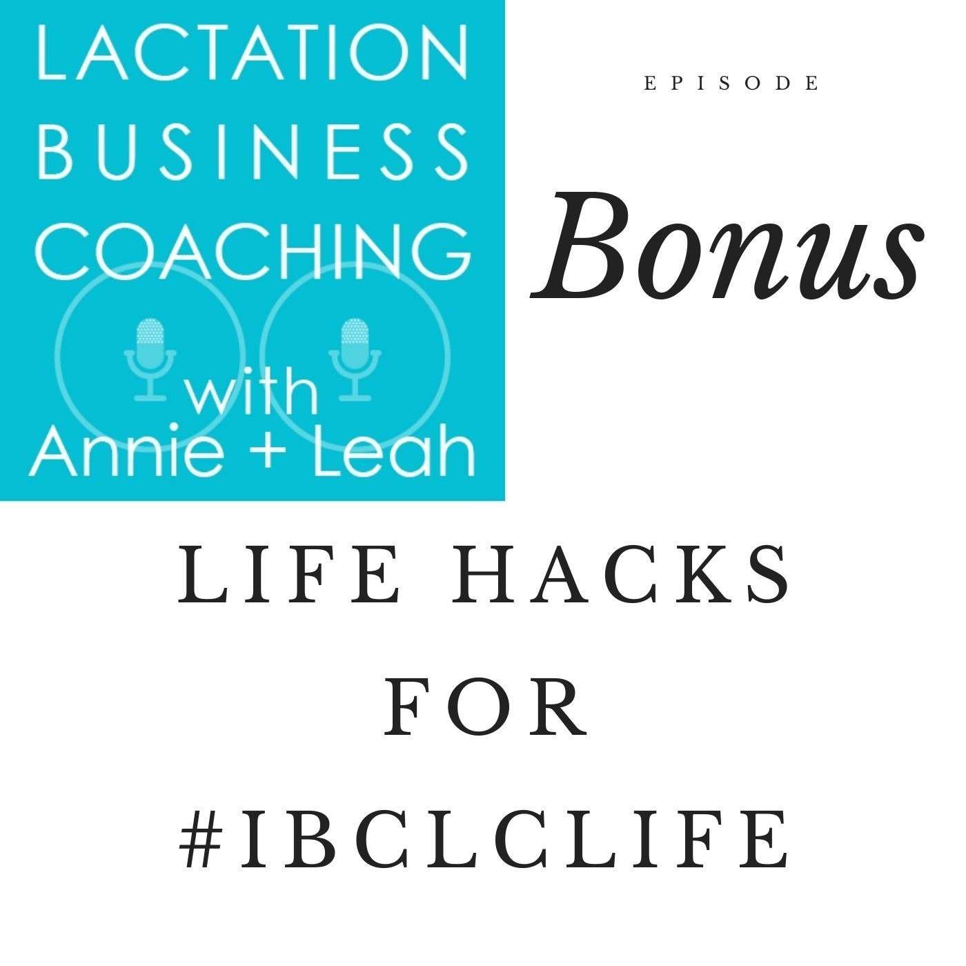 Lactation Business Coaching with Annie and Leah