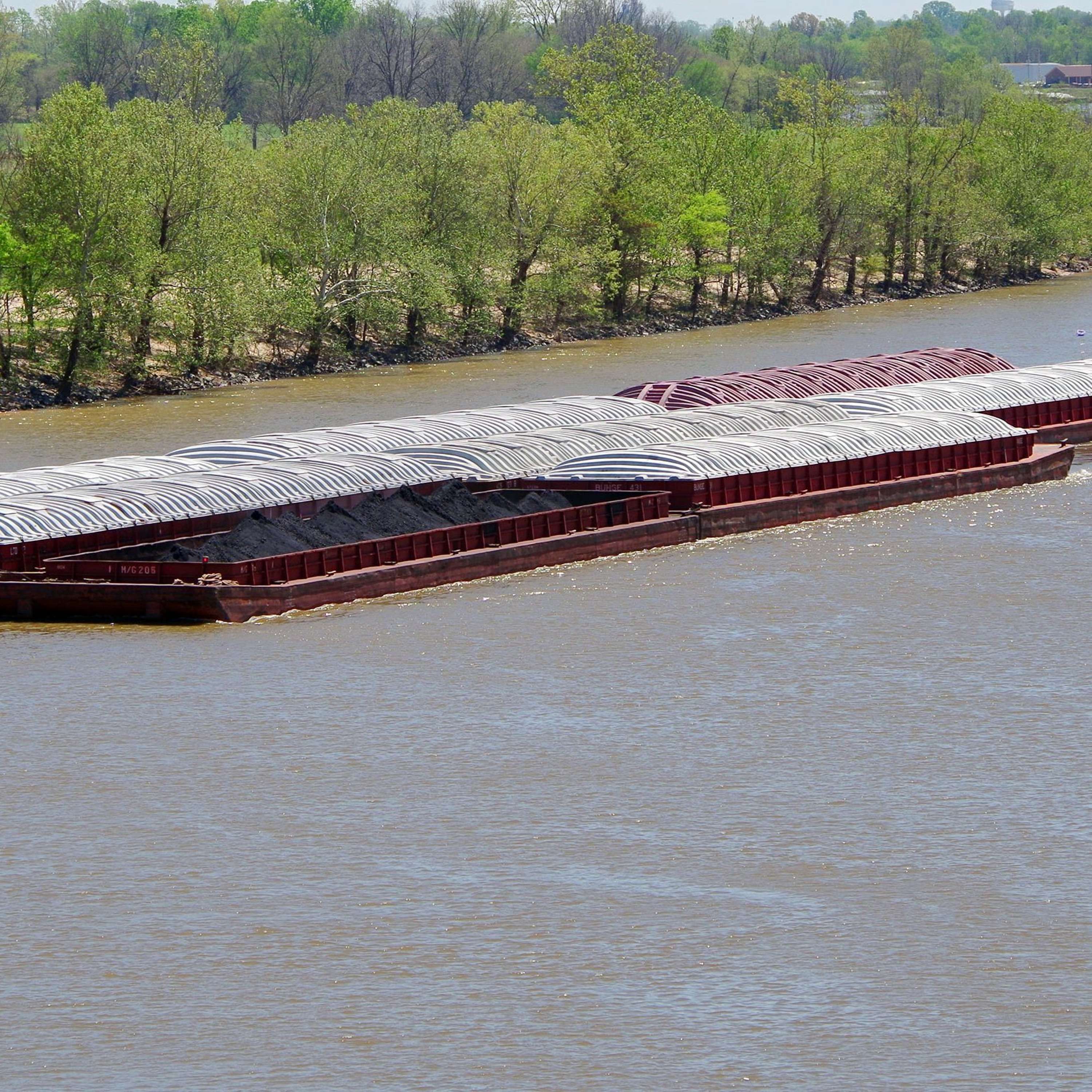 Arkansas AgCast
