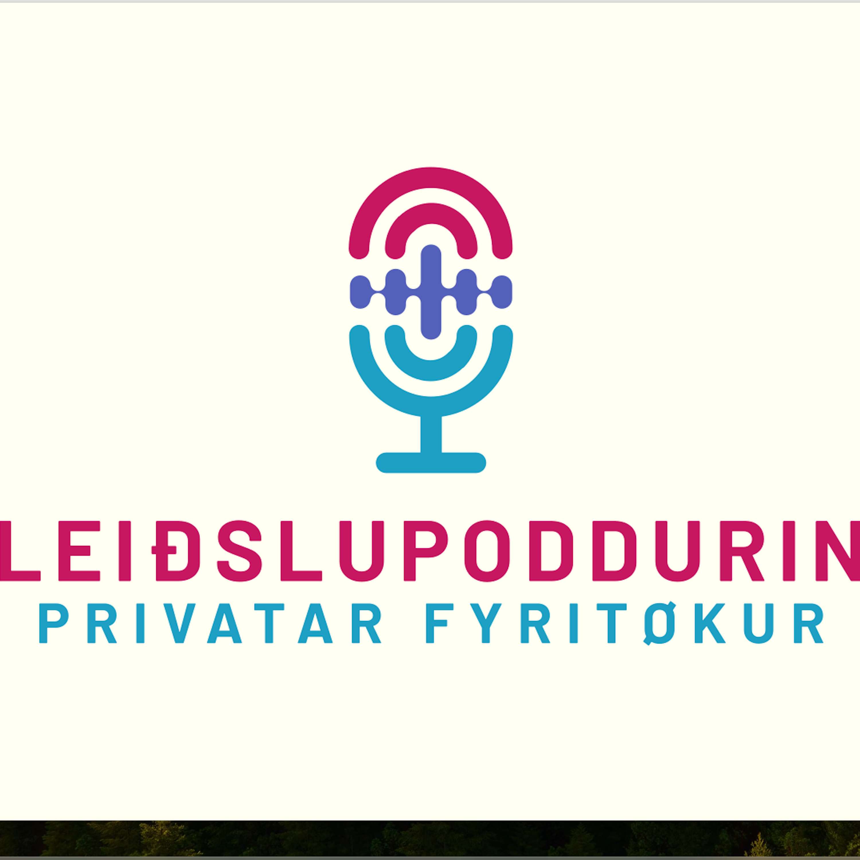 Leiðslupoddurin - privatar fyritøkur