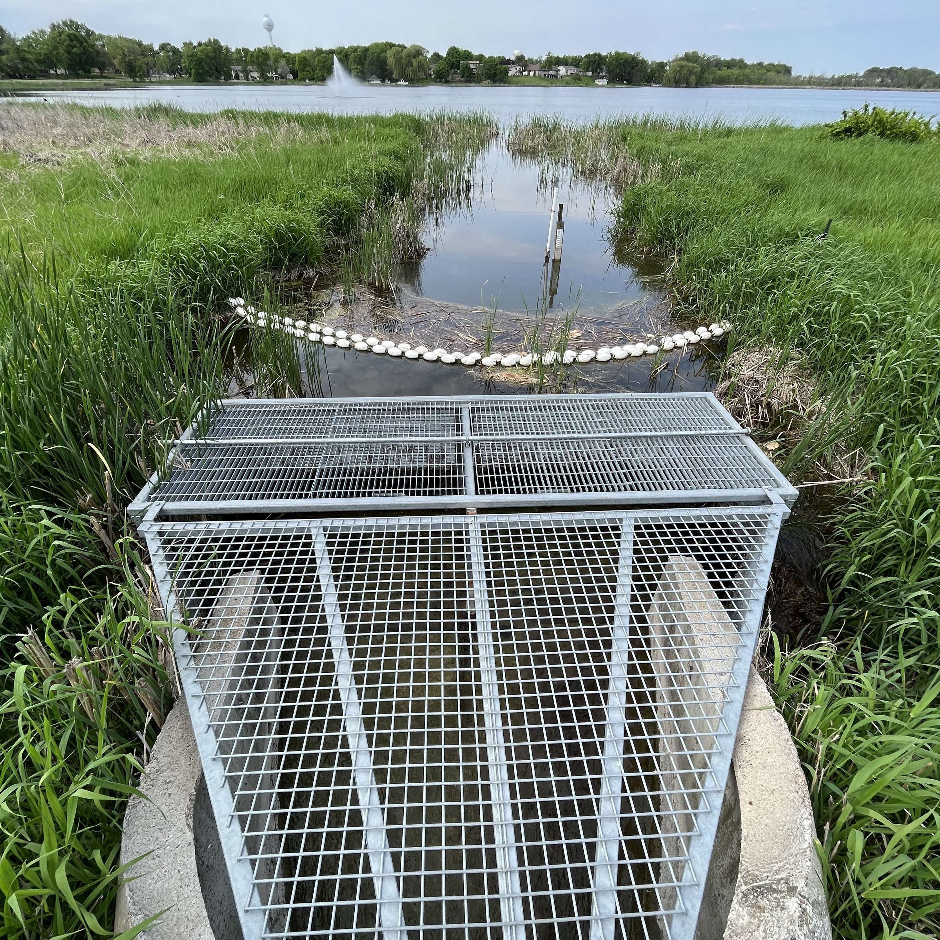 Stop 3: The Carp Fish Barrier