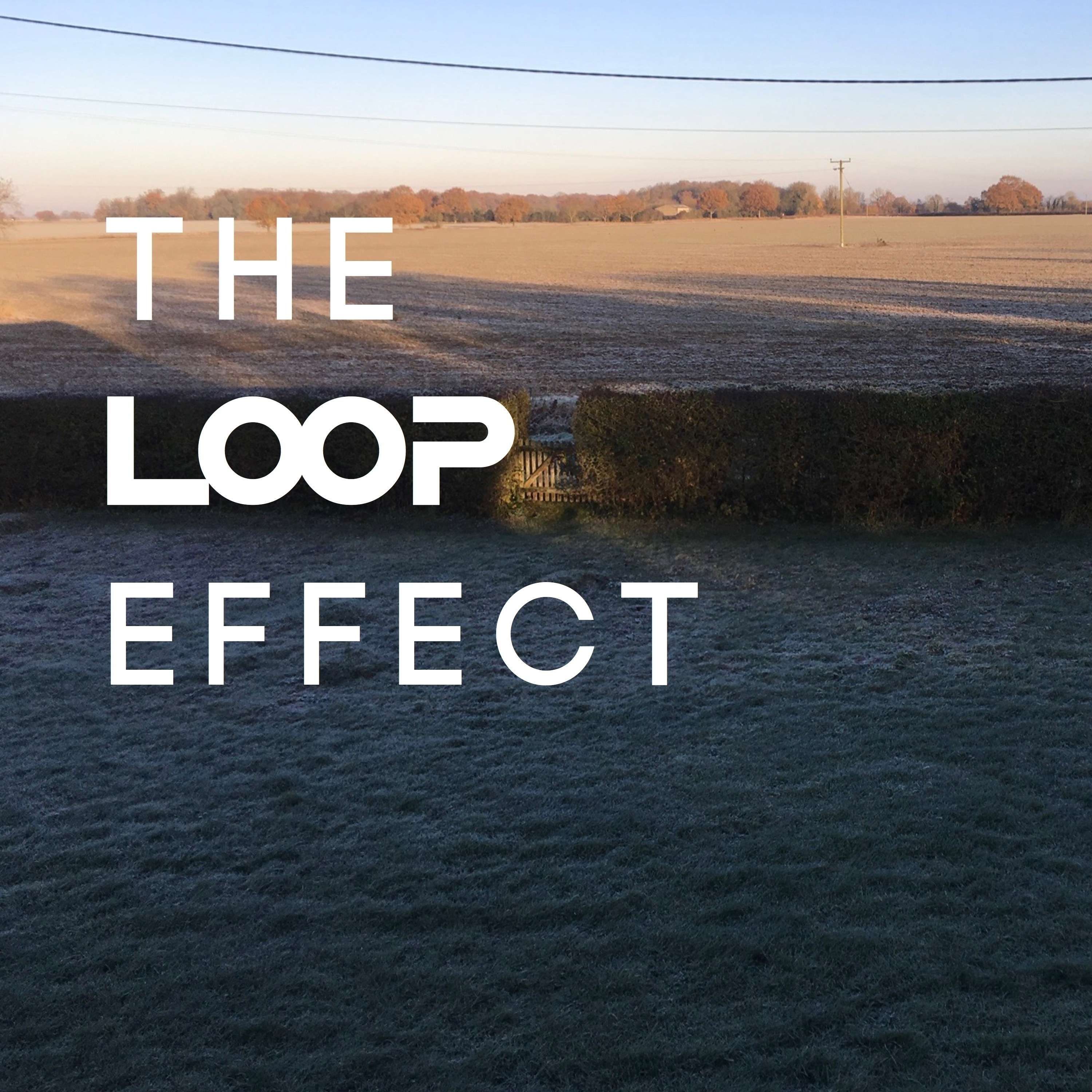 The Loop Effect: Summer Break and Killer Birds Part Three