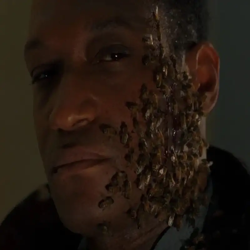 Candyman Candyman Candyman Candyman C...