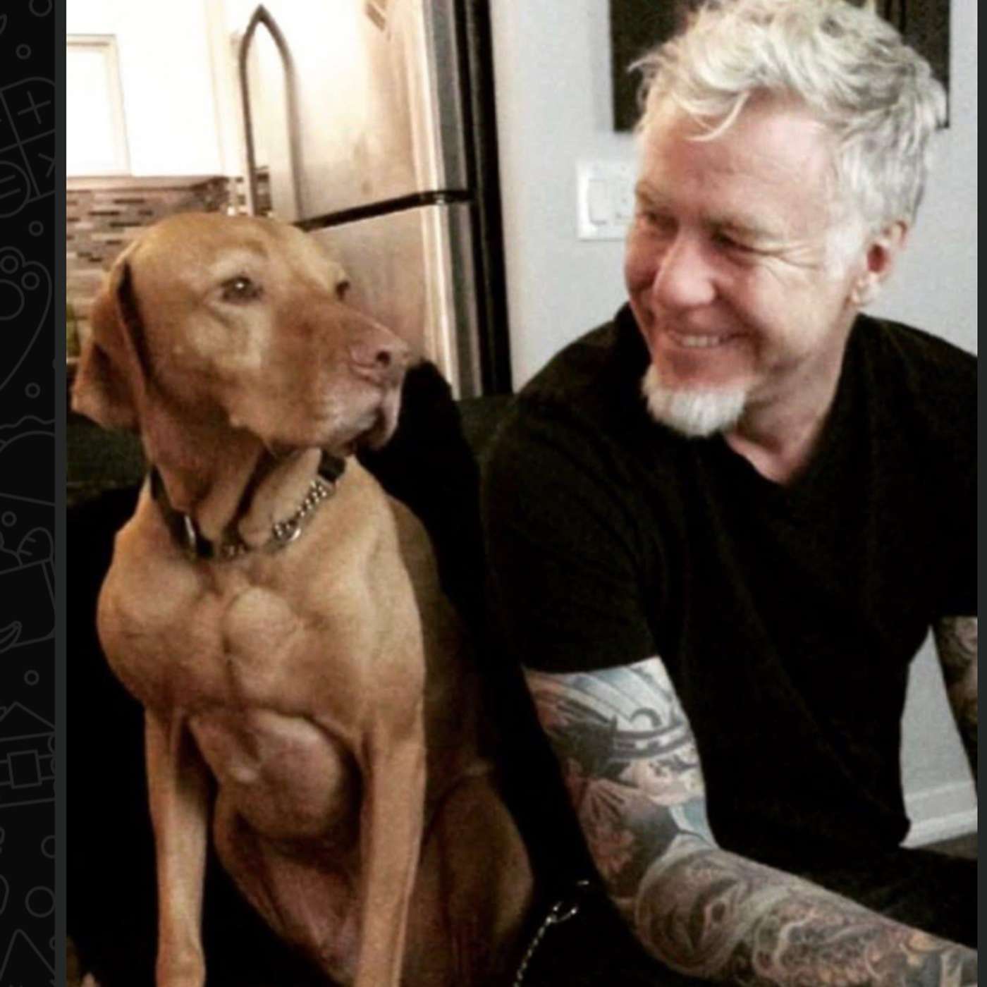 A Dogs Devotion
