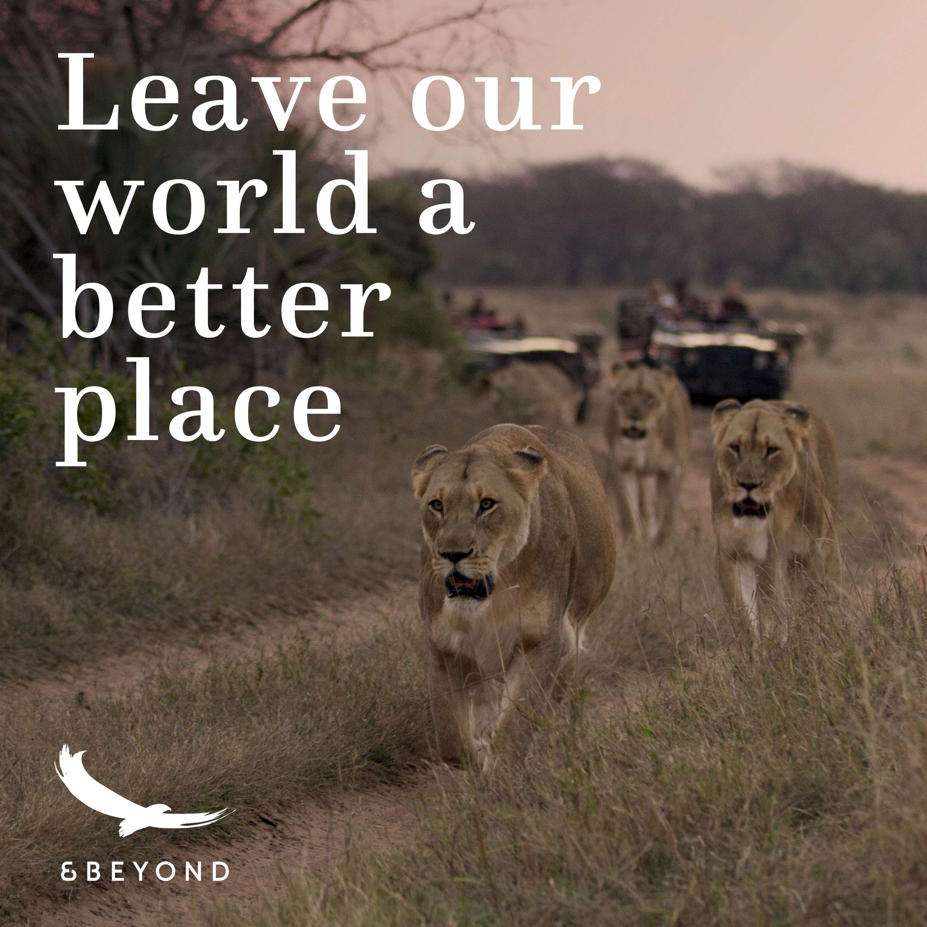 Better World
