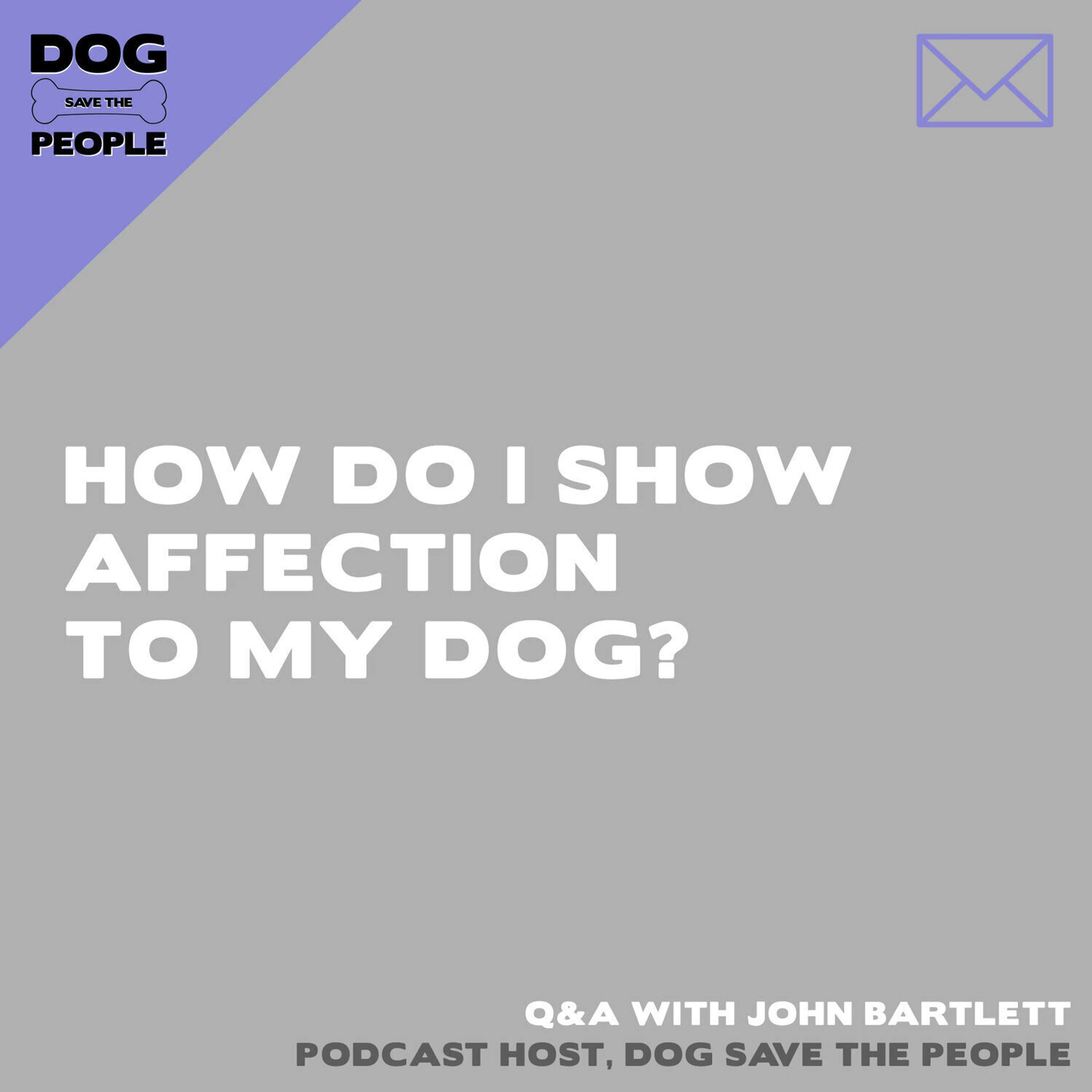 Q&A - How Do I Show Affection To My Dog?